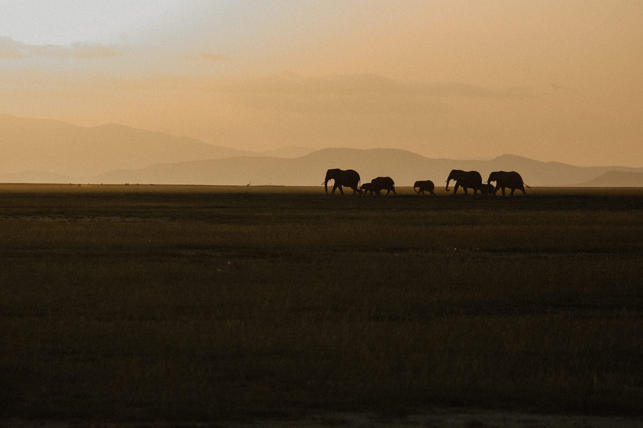 1 Tu Nguyen Masai Mara Kenya 70.jpg