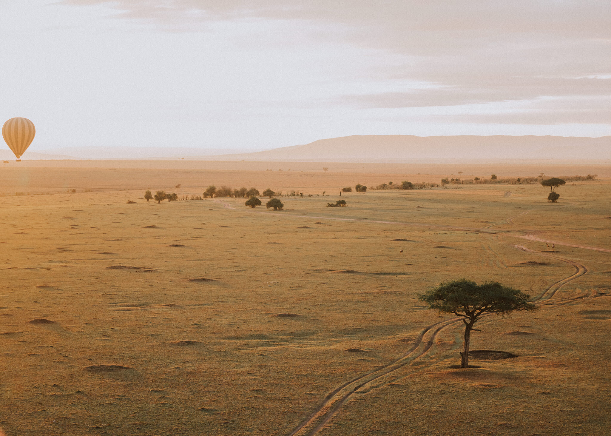 1 Tu Nguyen Masai Mara Kenya 93.jpg