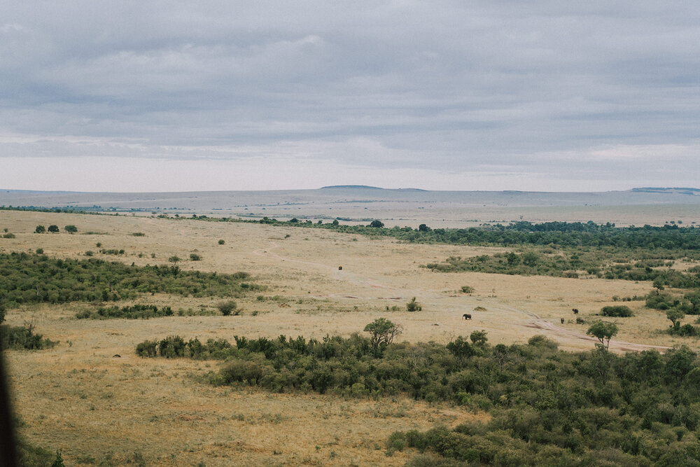 1 Tu Nguyen Masai Mara Kenya 106.jpg