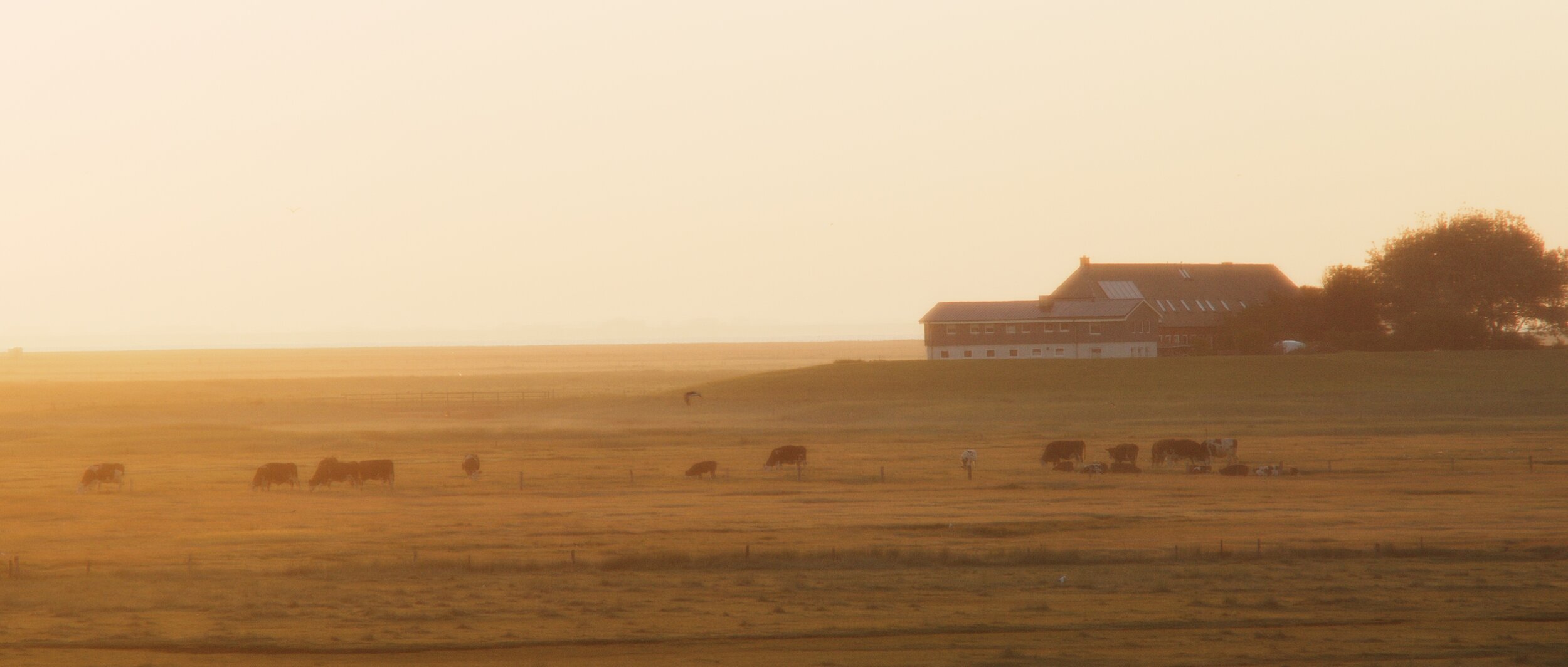 Hallig in the North Sea Her 86m2 by Thuy Dao17.jpg