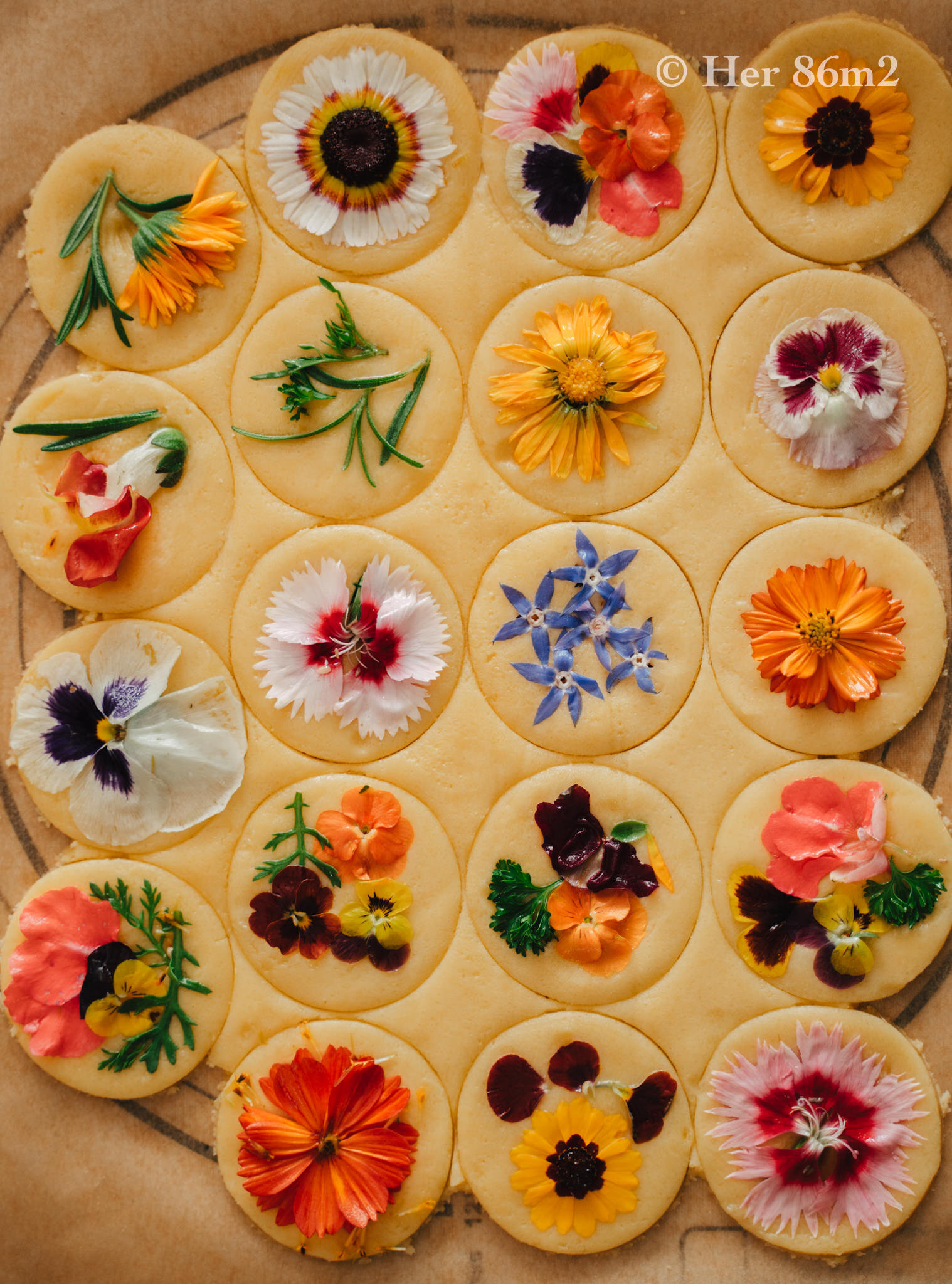 Edible Flowers Her 86m2 by Thuy Dao 10.JPG