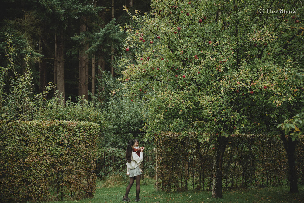  Cả một vườn ăn quả gần trăm cây táo, lê... và khách được tự tay hái thoải mái. 