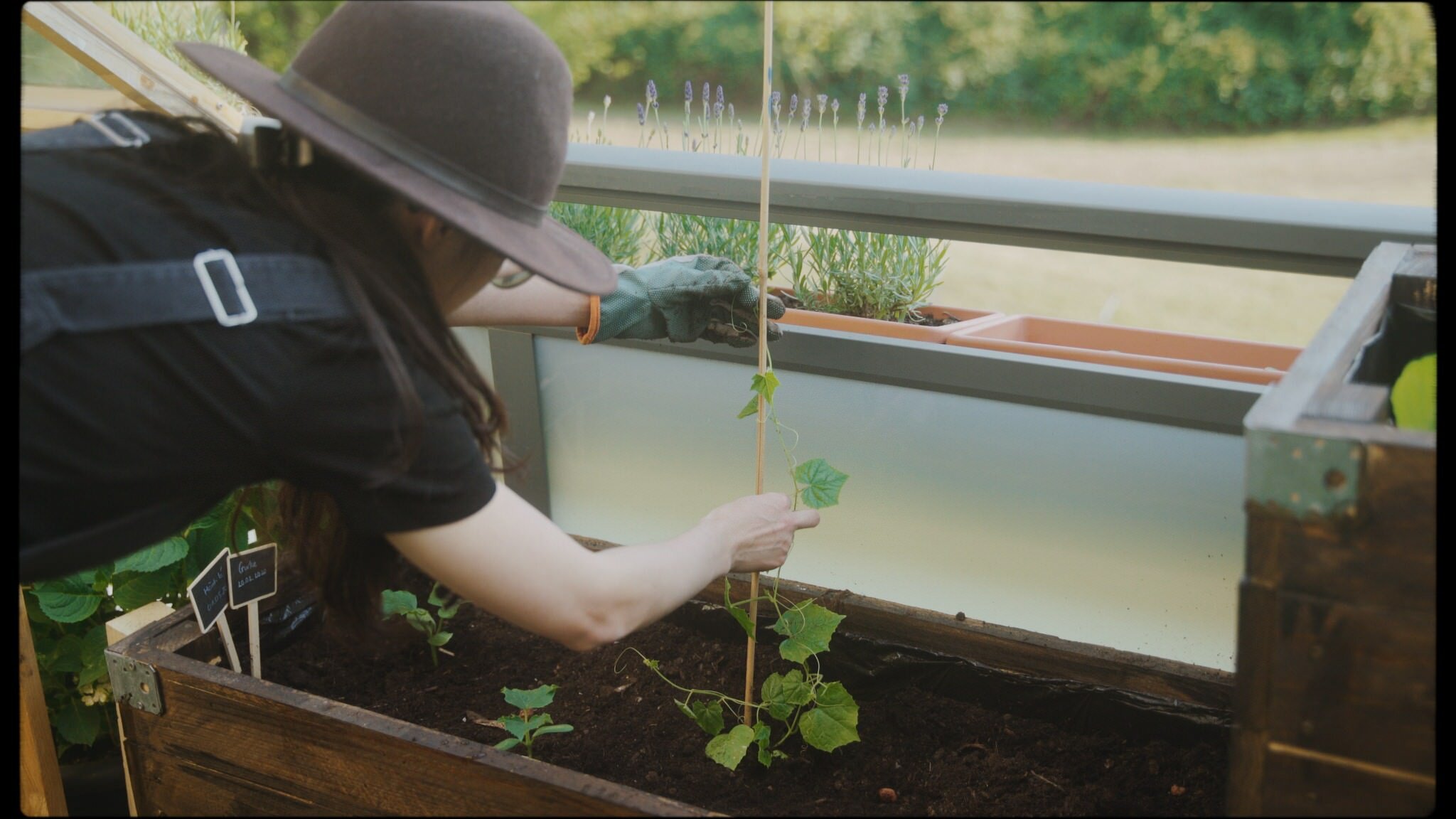 Essential Tips for Starting a balcony vegetable garden - Her 86m2 - 8.jpg