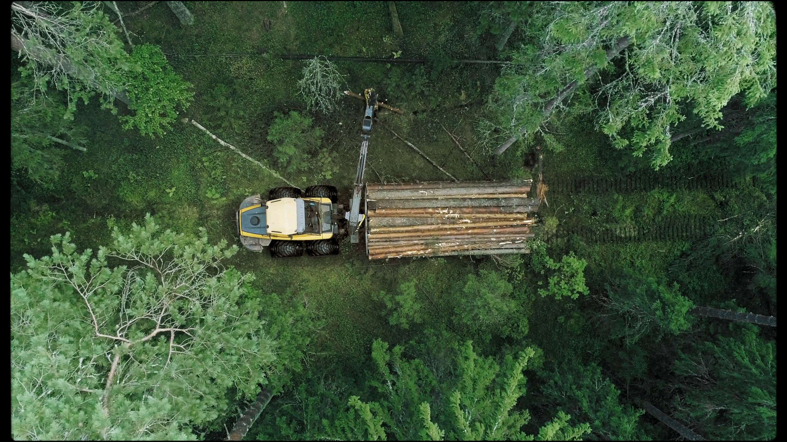 Forest of Gold - Making Burning Incent from Tree Resin - Her 86m2 by Thuy Dao 48.jpg