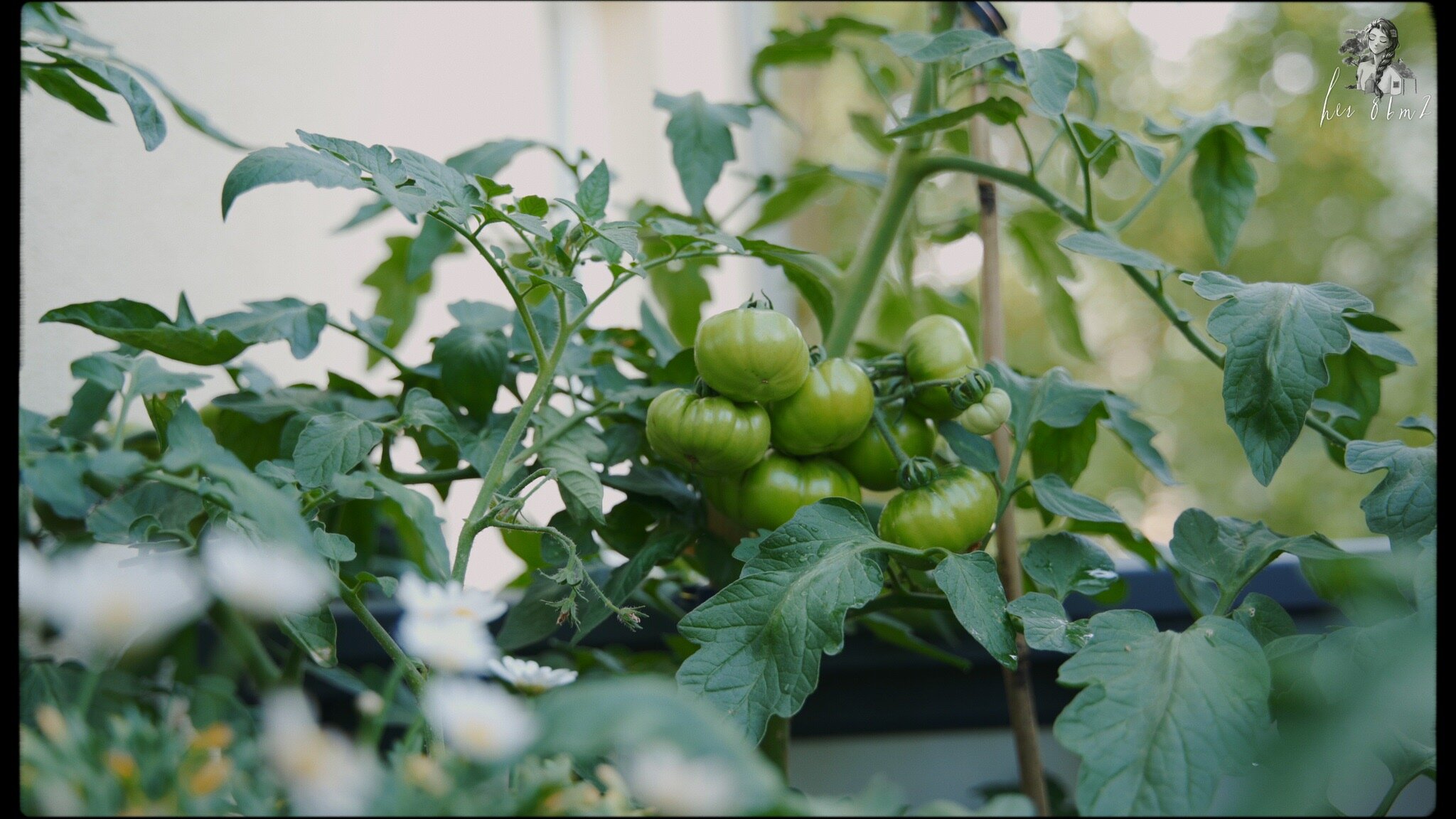 Bokashi Compost - Organic Fertilizer for Balcony Garden - Urban Gardening 3.jpg