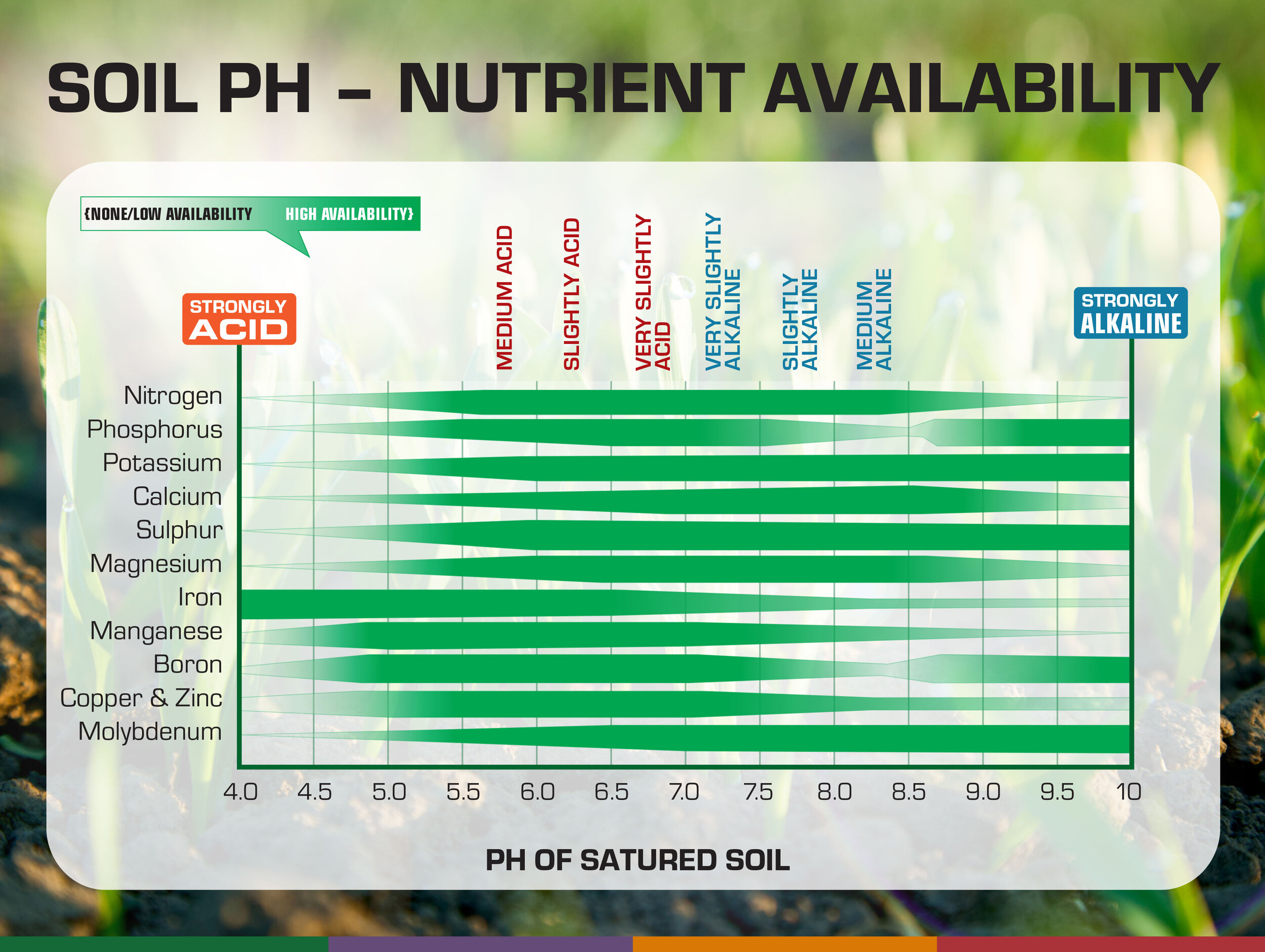 Mo concentrations in cress growing in hydroponic solutions with