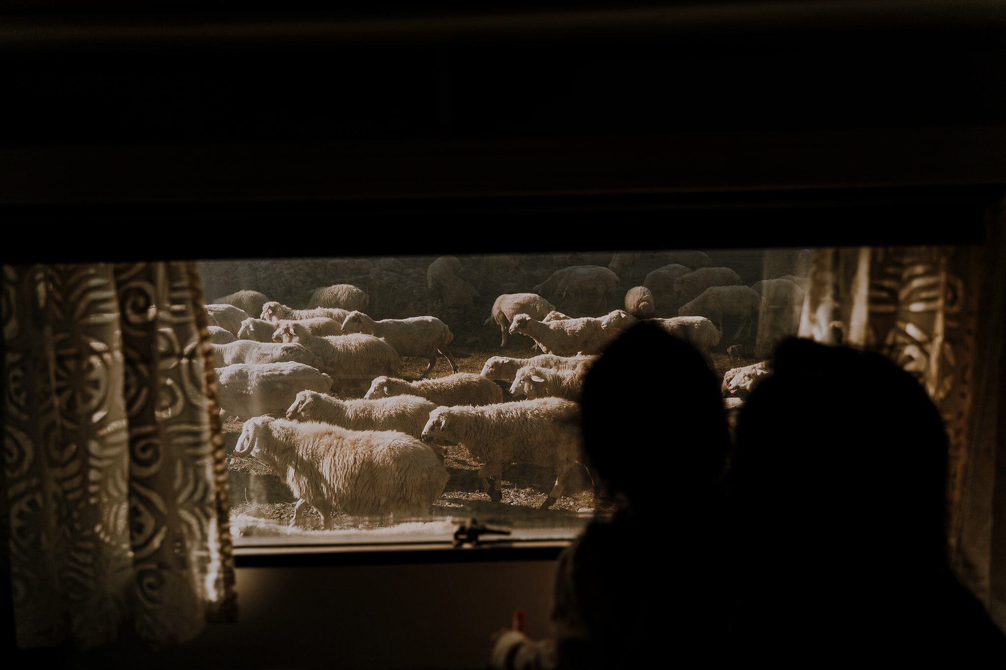 Camping in Georgia Country