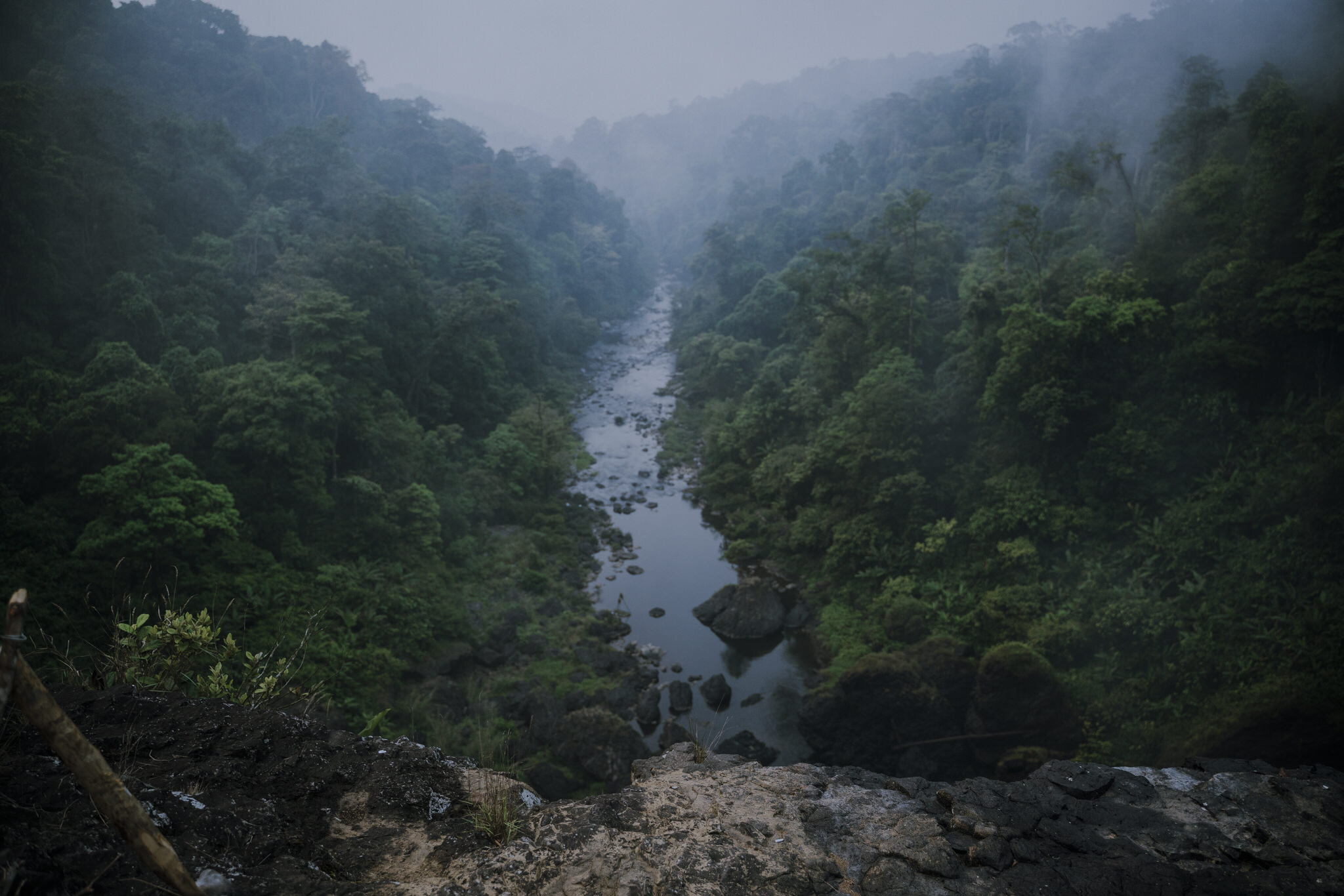 Jungle in Central Vietnam