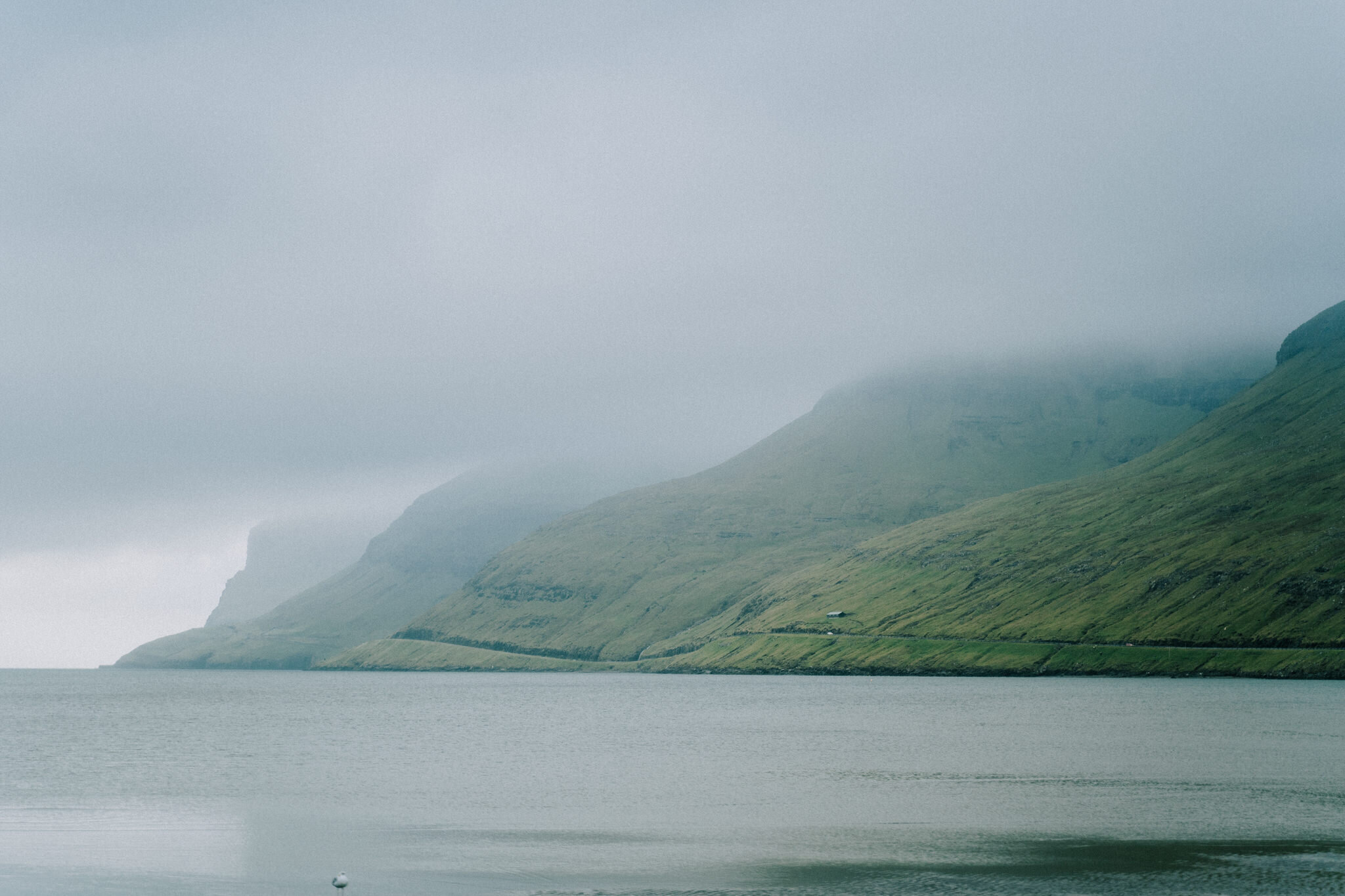 Foggy Day in Faroe Islands
