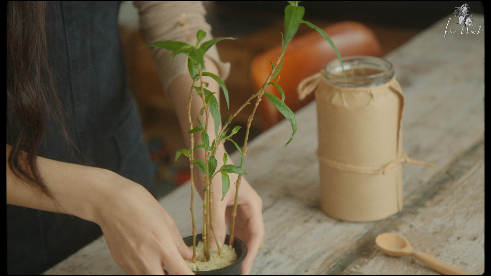 Indoors Gardening - Grow Vegetables in Glass Jars - Her 86m2 20a.jpg
