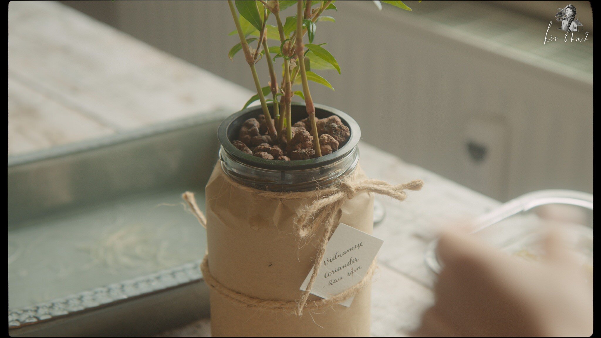 Indoors Gardening - Grow Vegetables in Glass Jars - Her 86m2 29.jpg