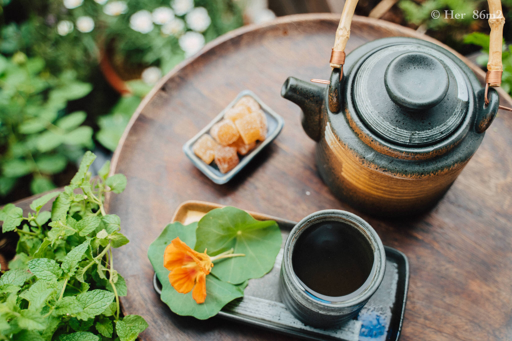 Homegrown Herbal Tea Recipes for Better Sleep24.JPG