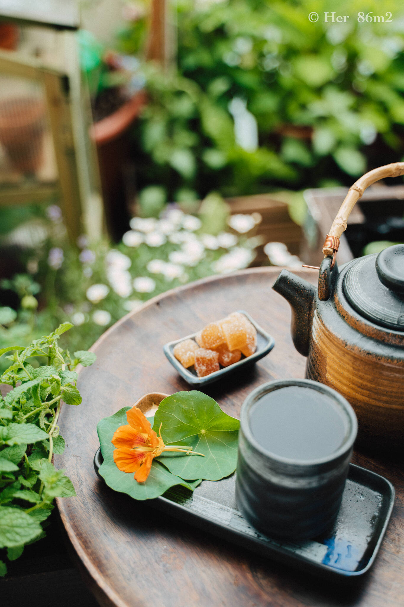Homegrown Herbal Tea Recipes for Better Sleep25.JPG