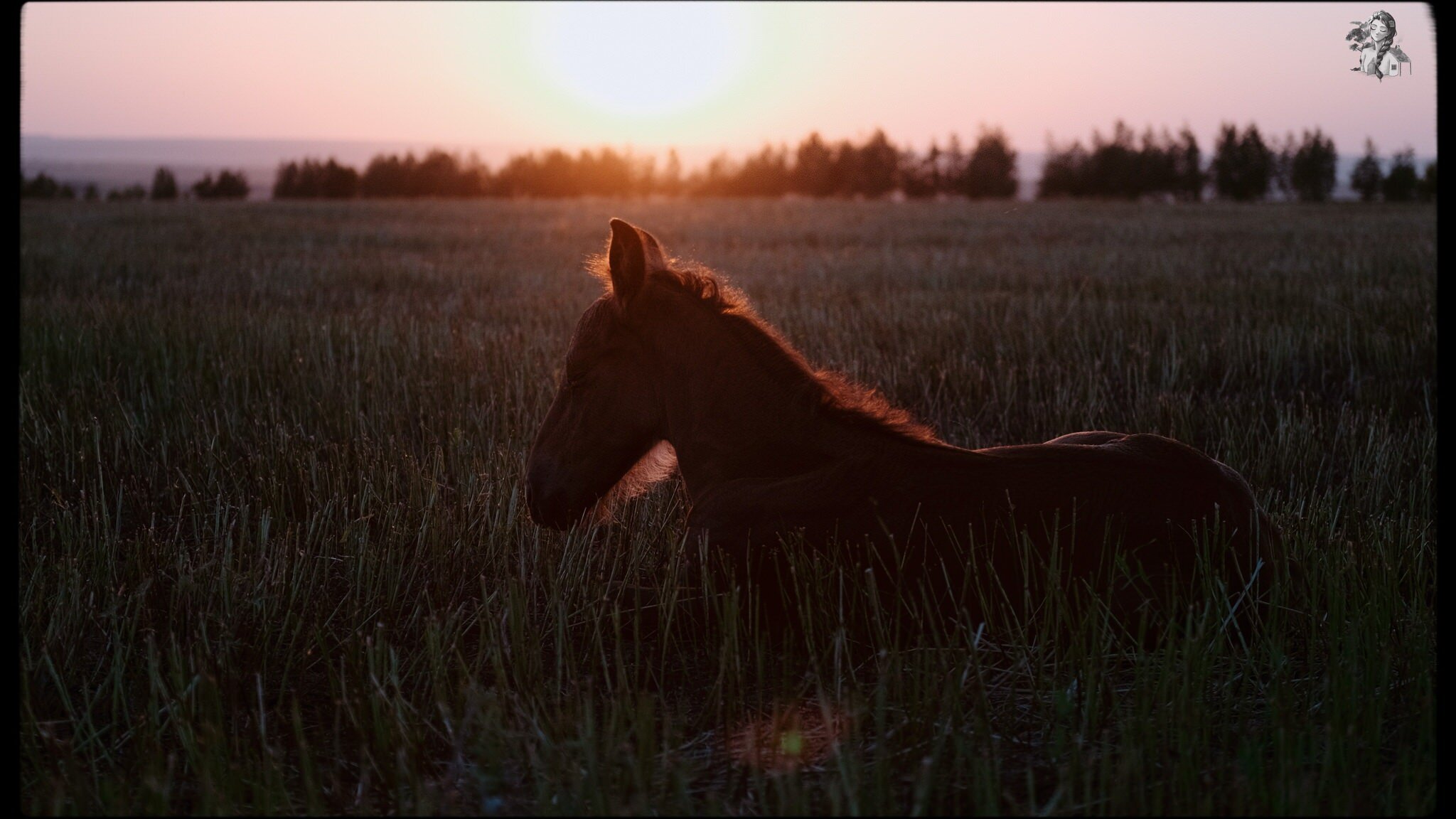 Endless Days of Summer - Slow Life in the Countryside 60.jpg