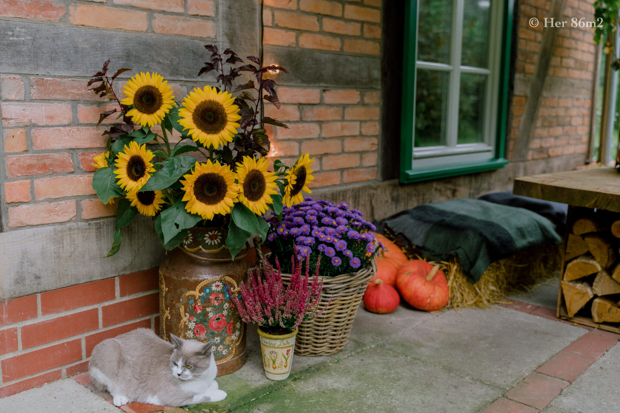 Her 86m2 - Patio Makeover to Welcome Autumn 67.jpg