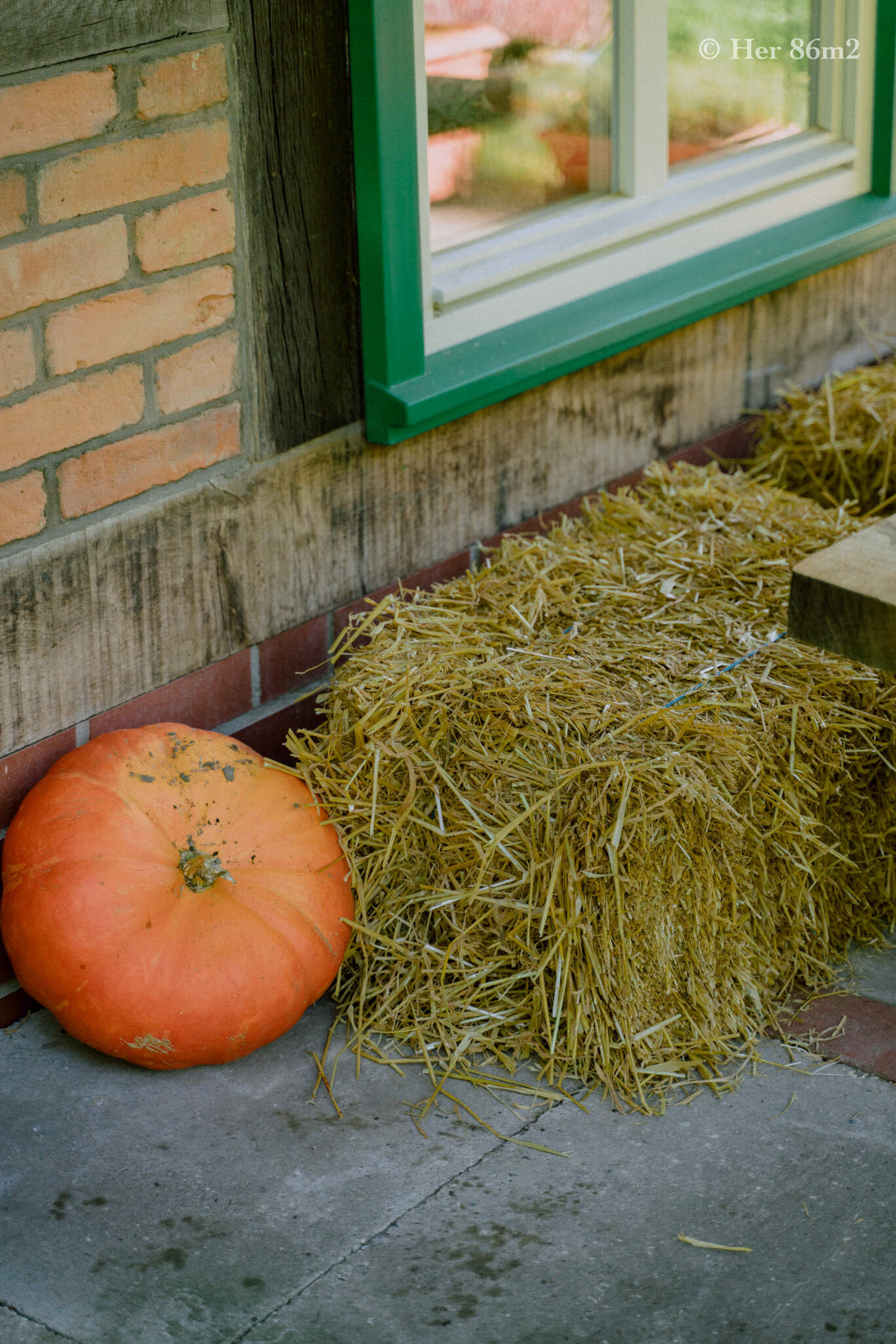 Her 86m2 - Patio Makeover to Welcome Autumn 26.jpg