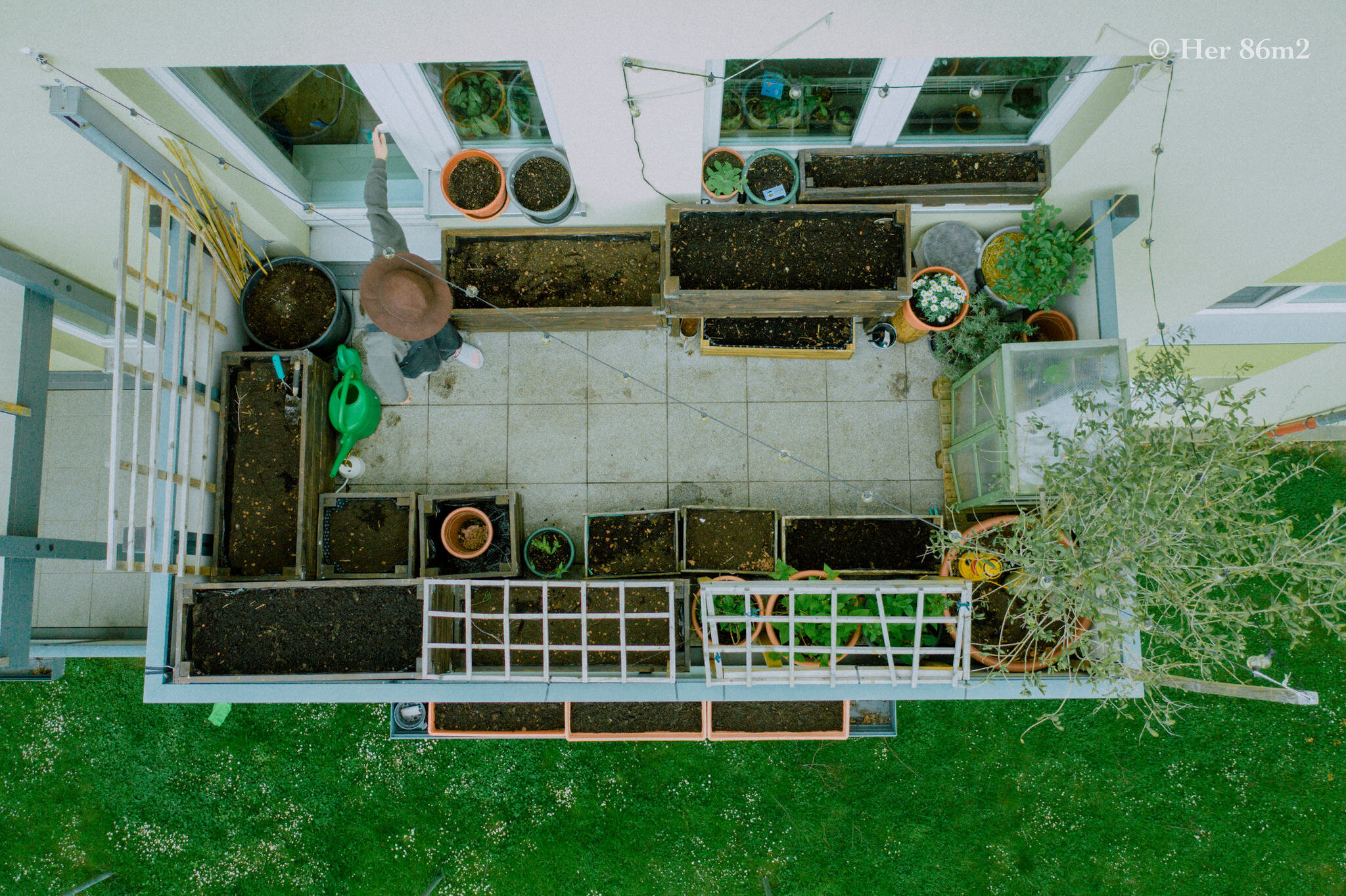 Her 86m2 - My 8m² Balcony Vegetable Garden | A Wonderful 200 Day Journey 9c.jpg