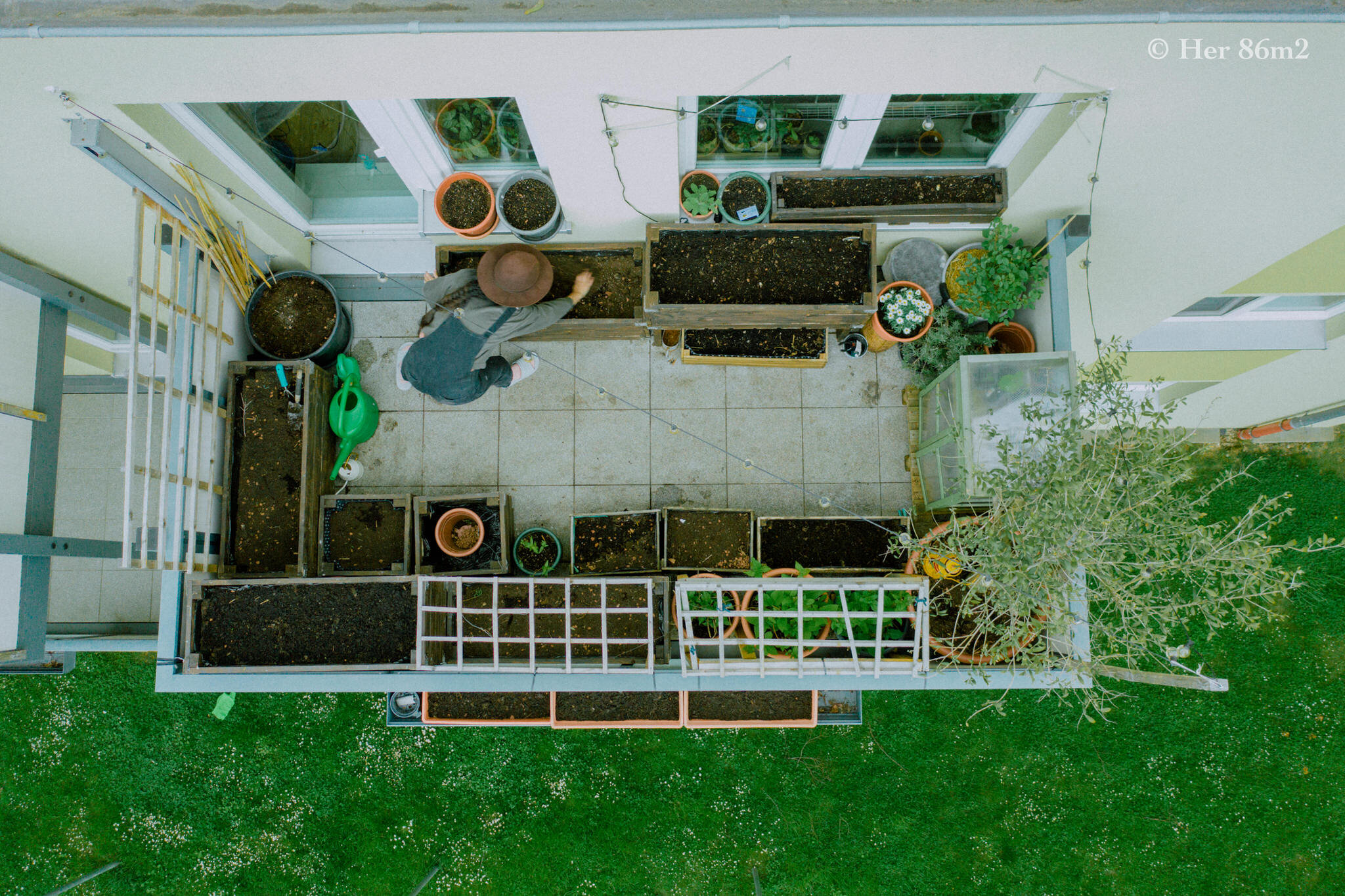 Her 86m2 - My 8m² Balcony Vegetable Garden | A Wonderful 200 Day Journey 9d.jpg