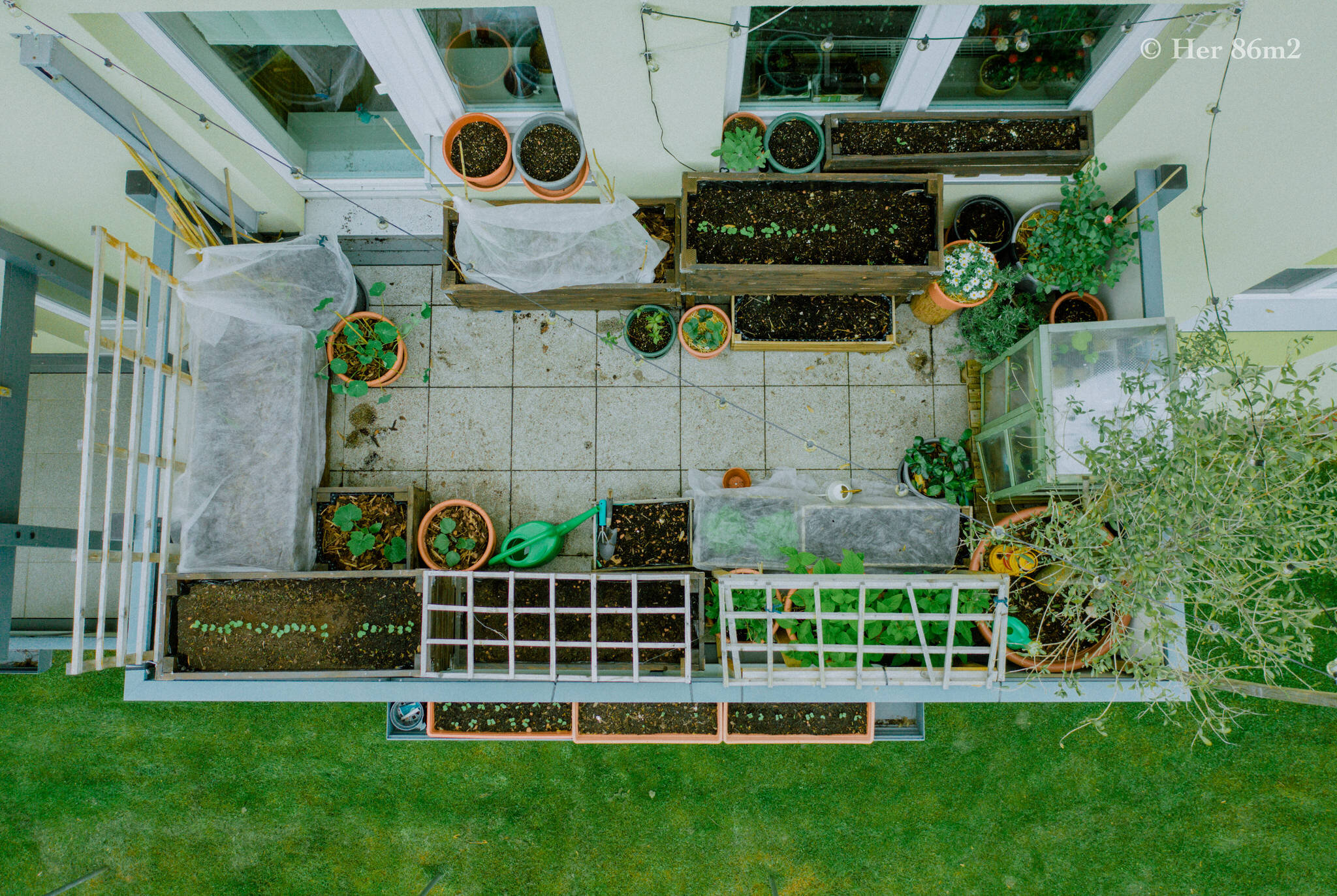 Her 86m2 - My 8m² Balcony Vegetable Garden | A Wonderful 200 Day Journey 19a.jpg