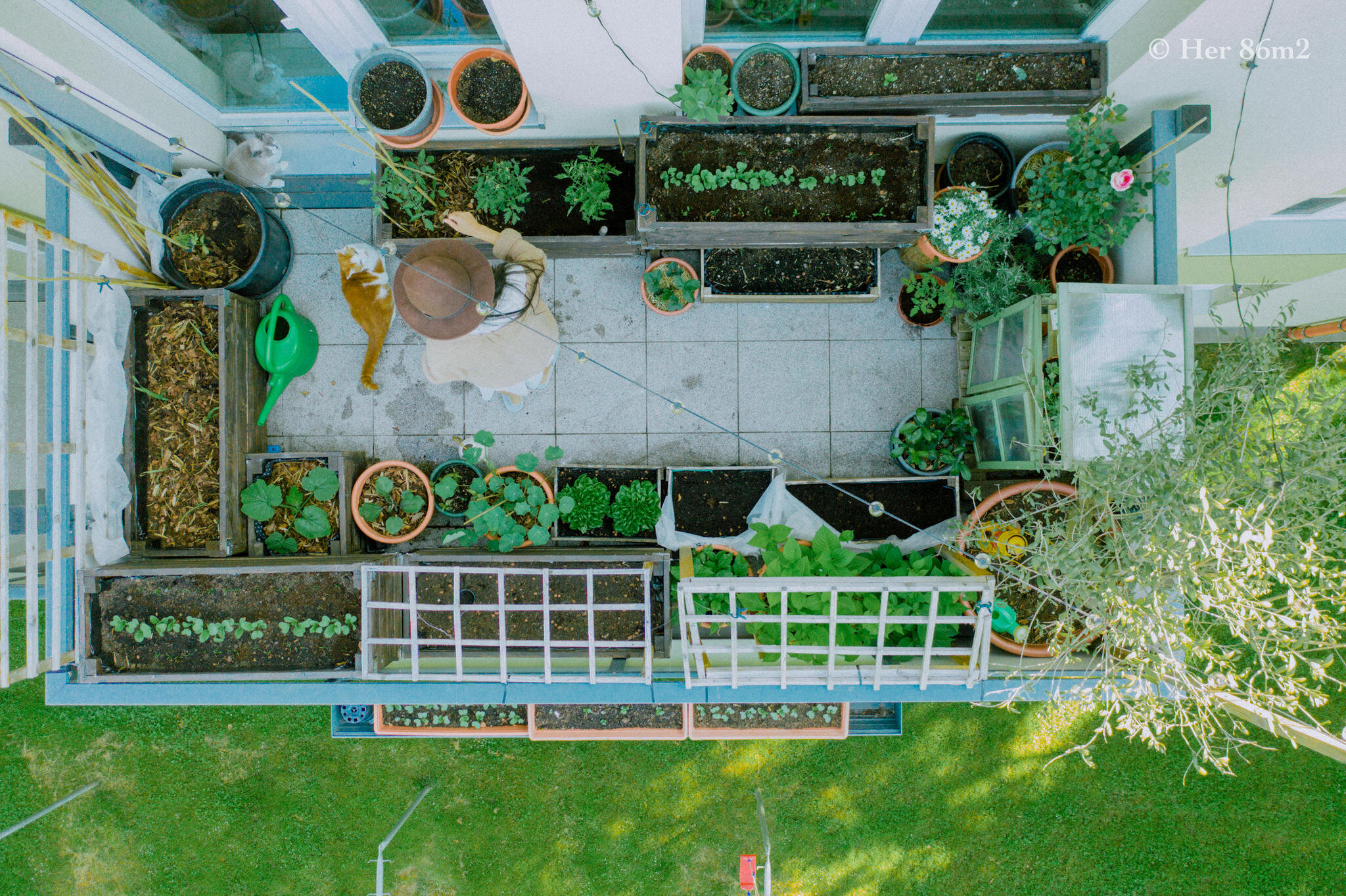 Her 86m2 - My 8m² Balcony Vegetable Garden | A Wonderful 200 Day Journey 26a.jpg