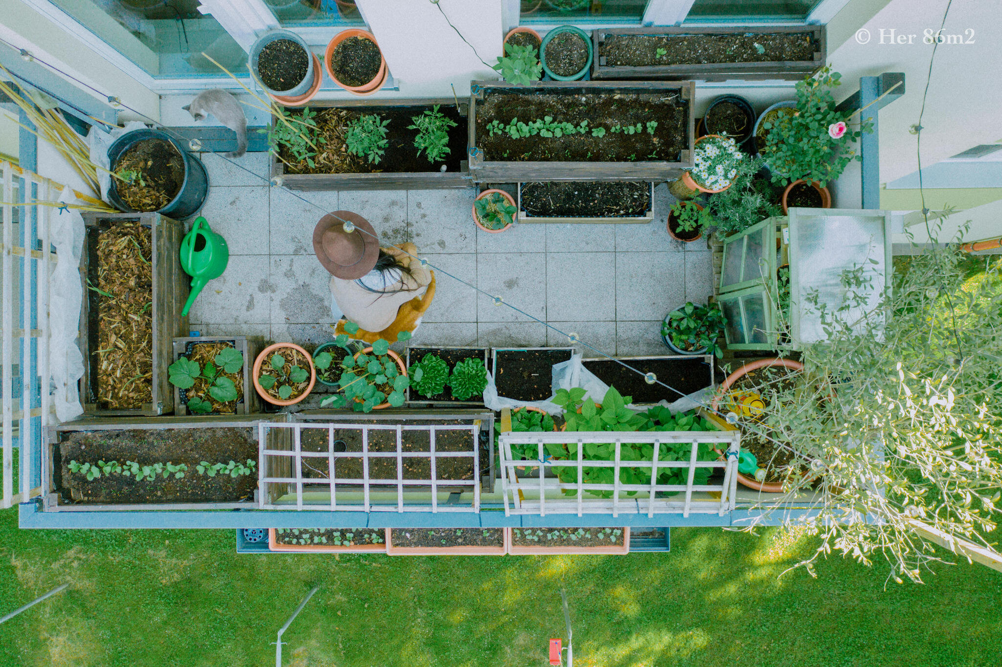 Her 86m2 - My 8m² Balcony Vegetable Garden | A Wonderful 200 Day Journey 26b.jpg