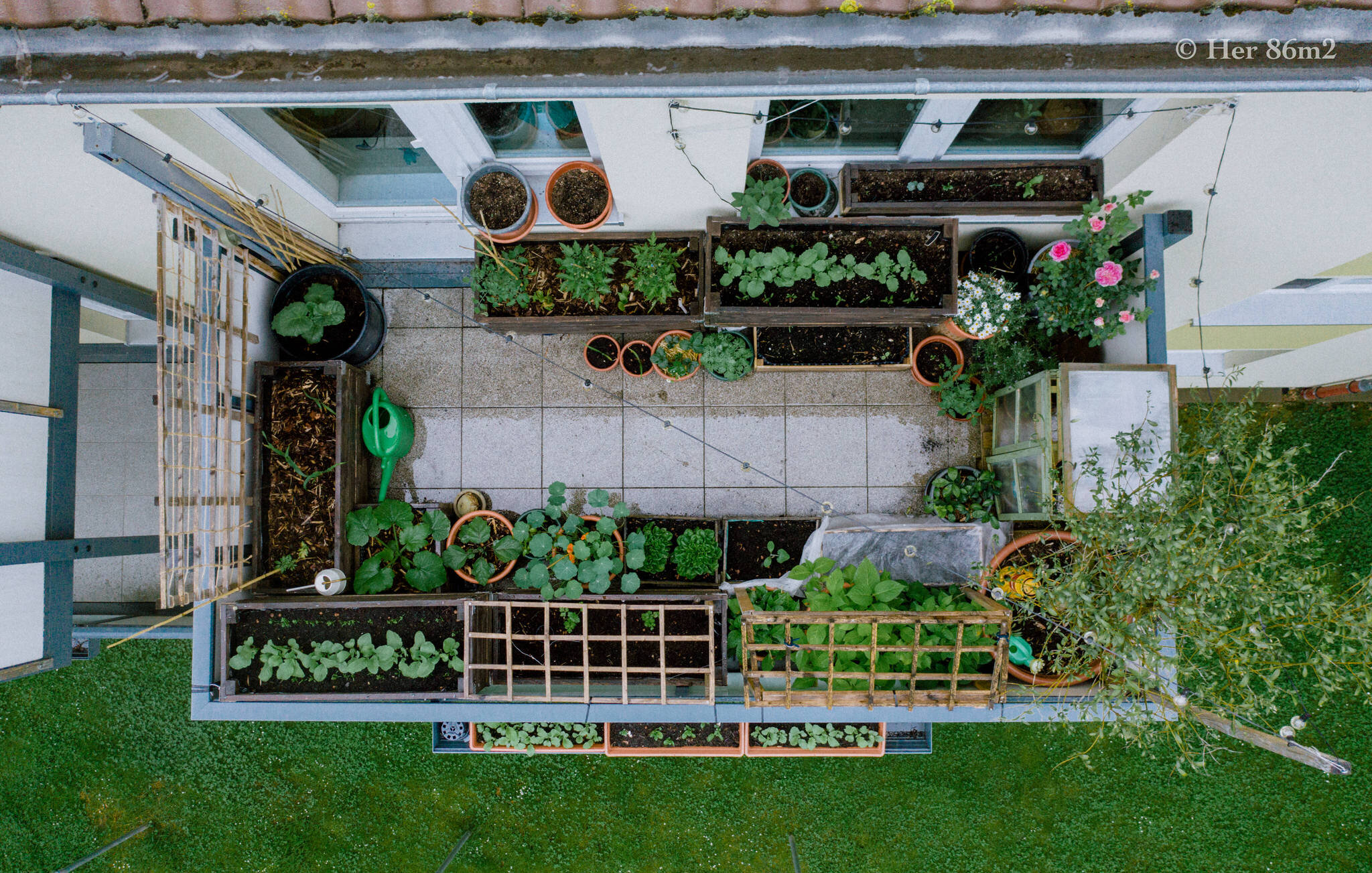 Her 86m2 - My 8m² Balcony Vegetable Garden | A Wonderful 200 Day Journey 39b.jpg