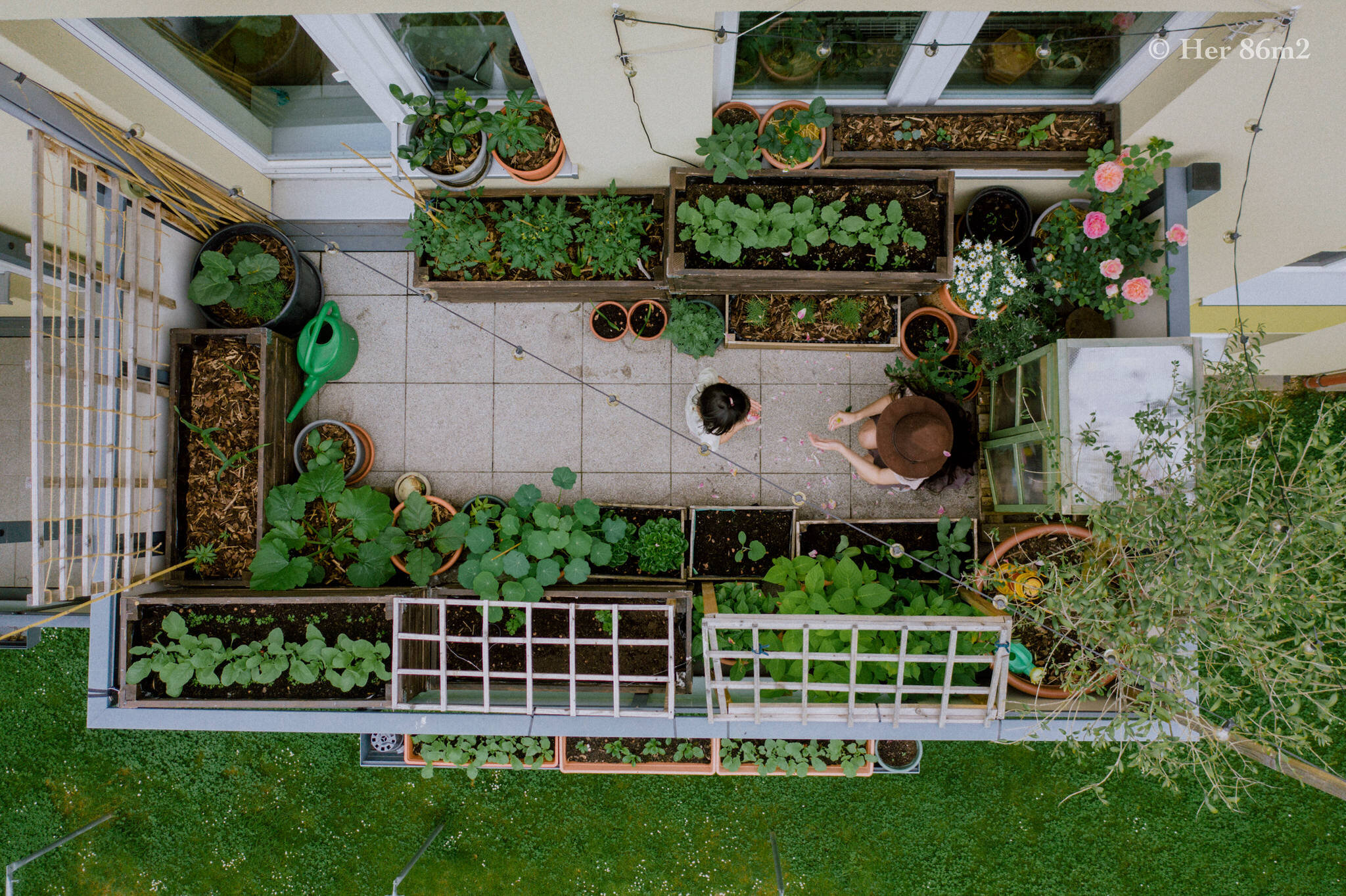 Her 86m2 - My 8m² Balcony Vegetable Garden | A Wonderful 200 Day Journey 50a.jpg