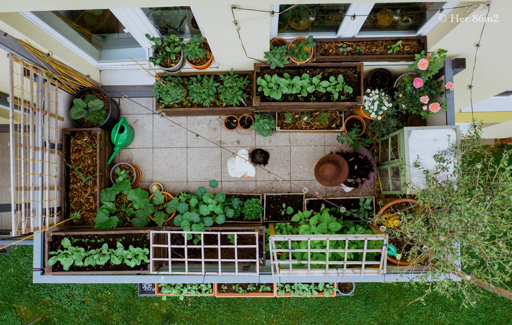 Her 86m2 - My 8m² Balcony Vegetable Garden | A Wonderful 200 Day Journey 50b.jpg