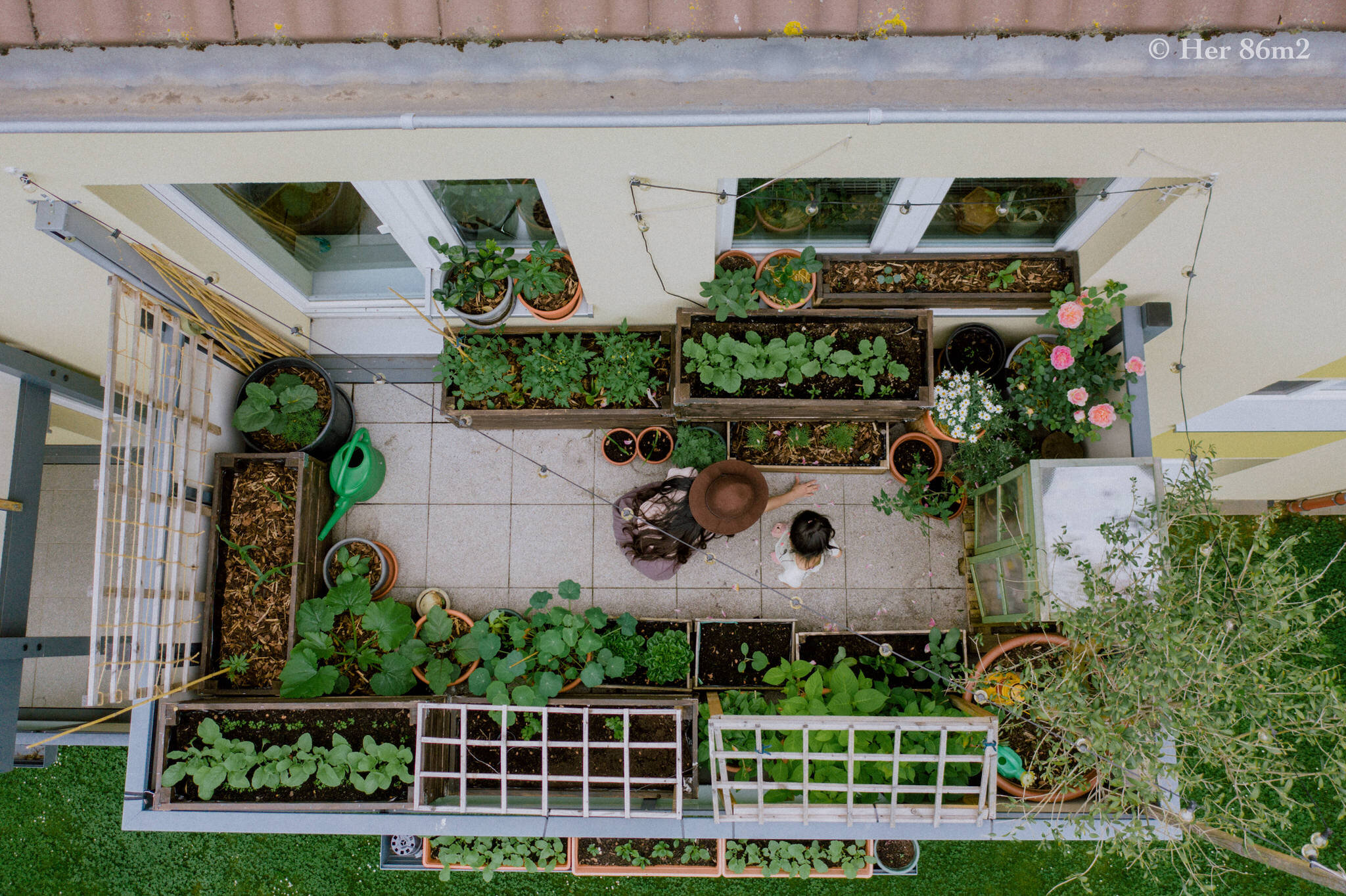 Her 86m2 - My 8m² Balcony Vegetable Garden | A Wonderful 200 Day Journey 50c.jpg