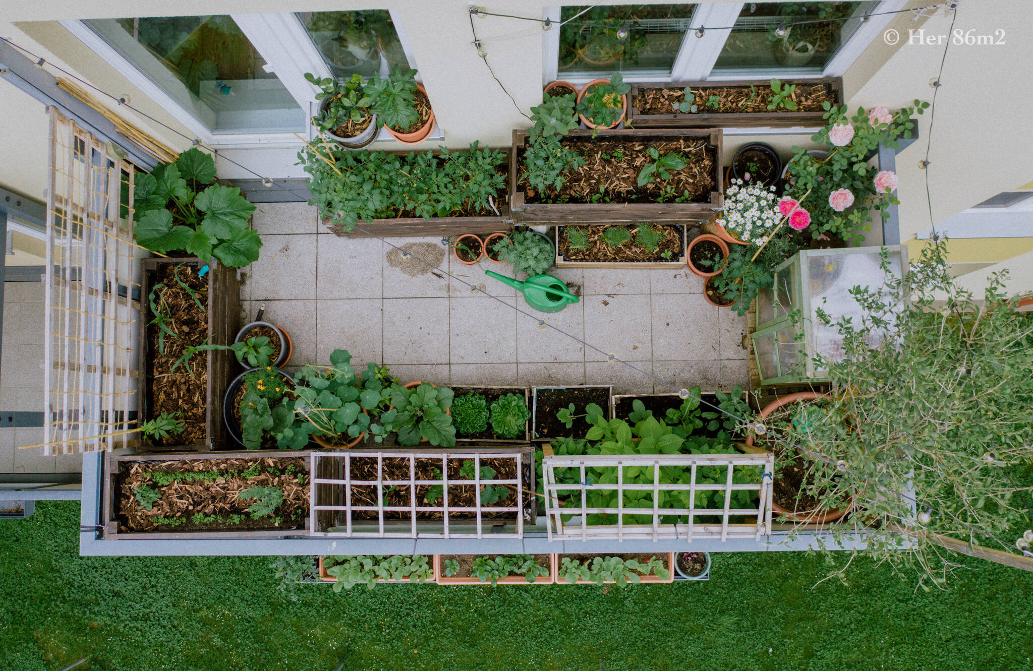 Her 86m2 - My 8m² Balcony Vegetable Garden | A Wonderful 200 Day Journey 93b.jpg