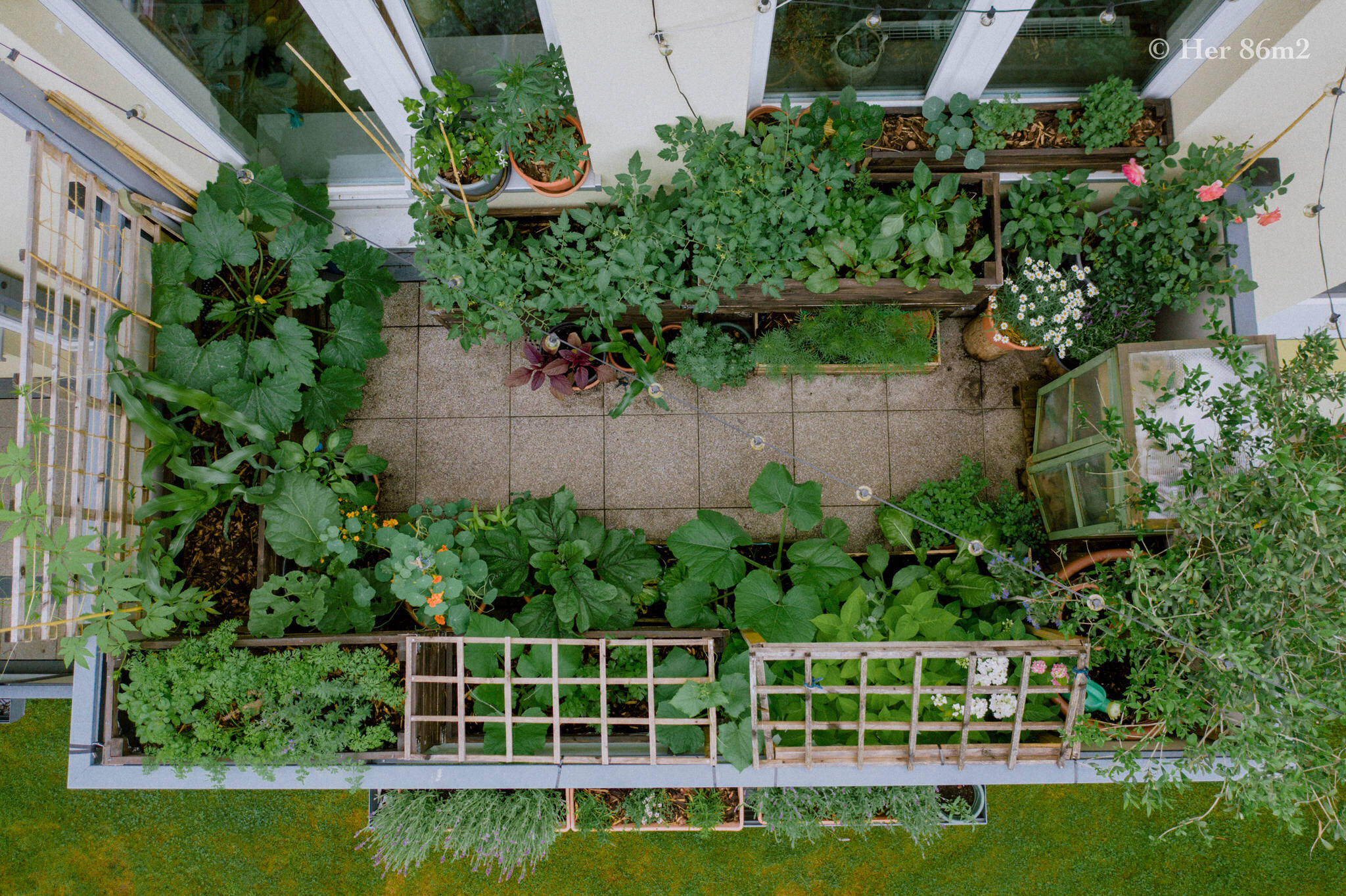 Her 86m2 - My 8m² Balcony Vegetable Garden | A Wonderful 200 Day Journey 172b.jpg