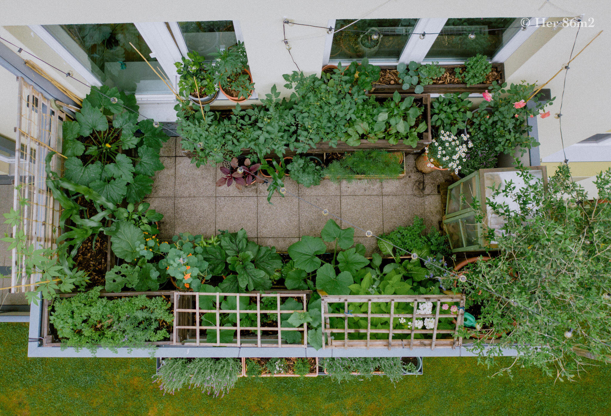 Her 86m2 - My 8m² Balcony Vegetable Garden | A Wonderful 200 Day Journey 172a.jpg