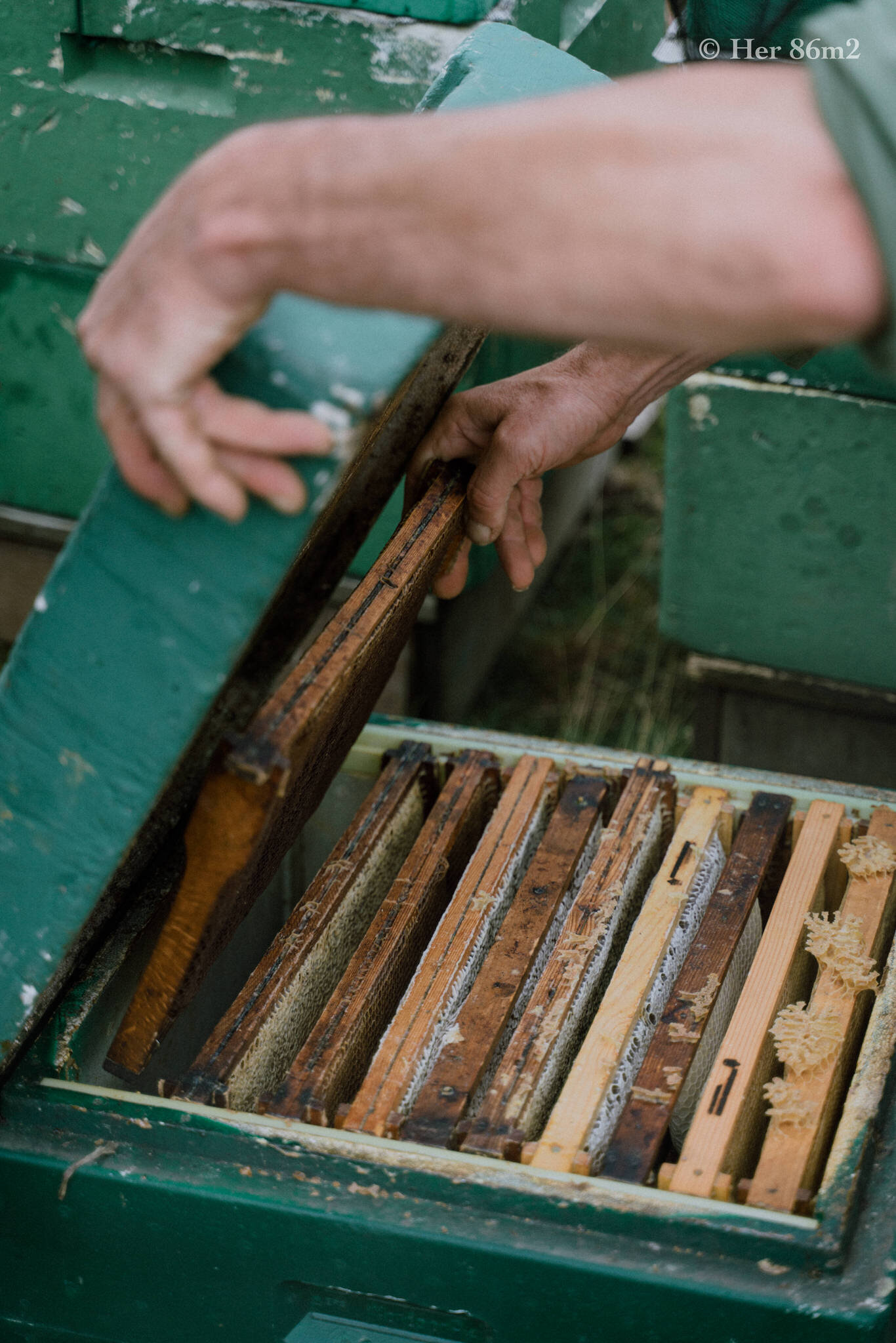 One Day Learning the Art of Beekeeping and Making Honey - Her86m2 67.jpg