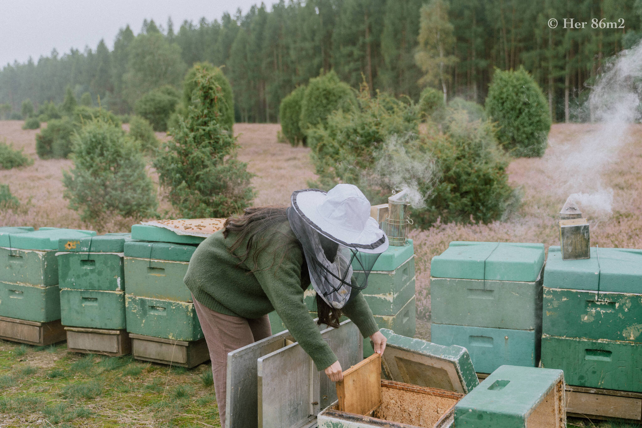 One Day Learning the Art of Beekeeping and Making Honey - Her86m2 94.jpg