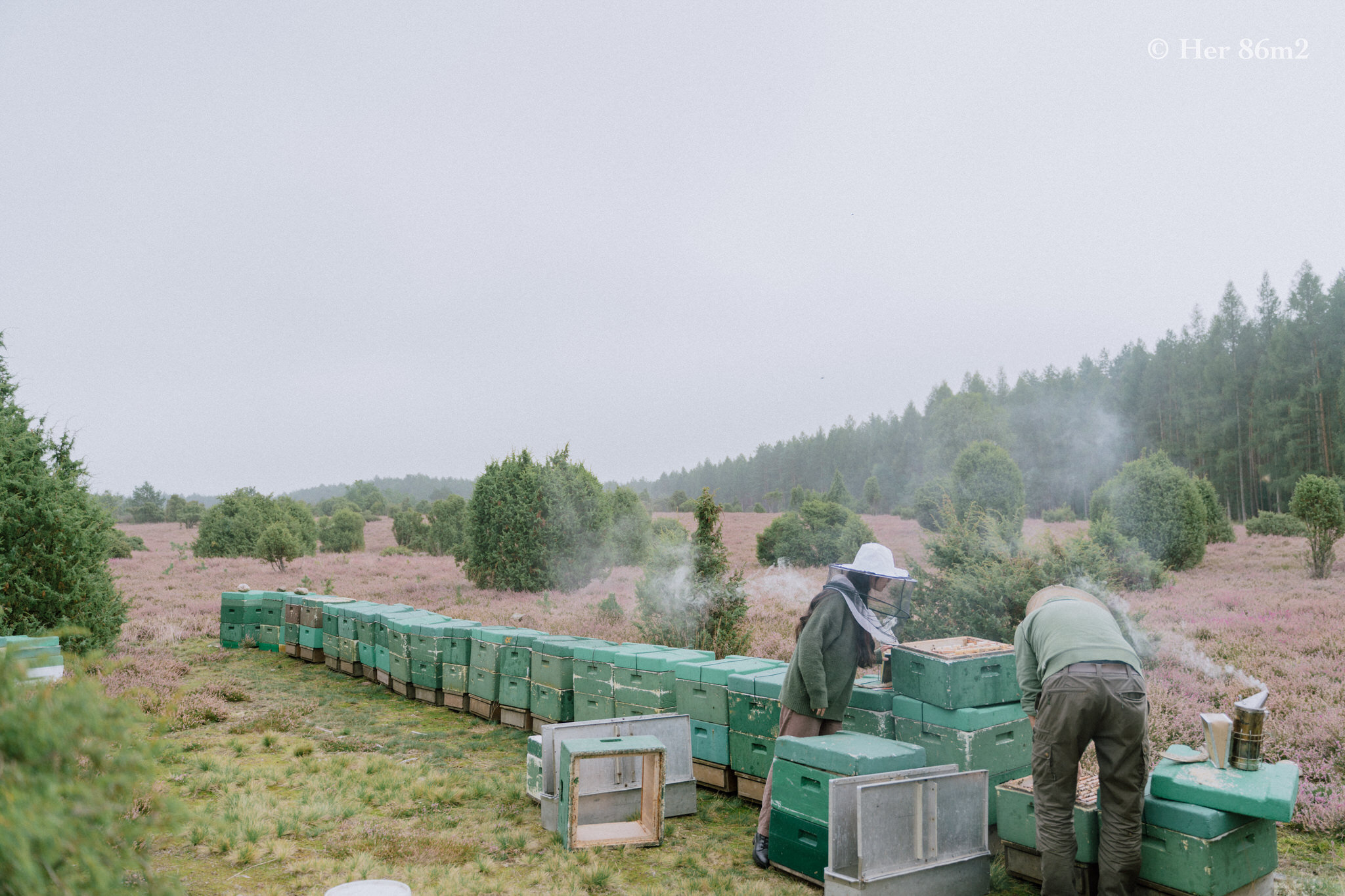 One Day Learning the Art of Beekeeping and Making Honey - Her86m2 75.jpg