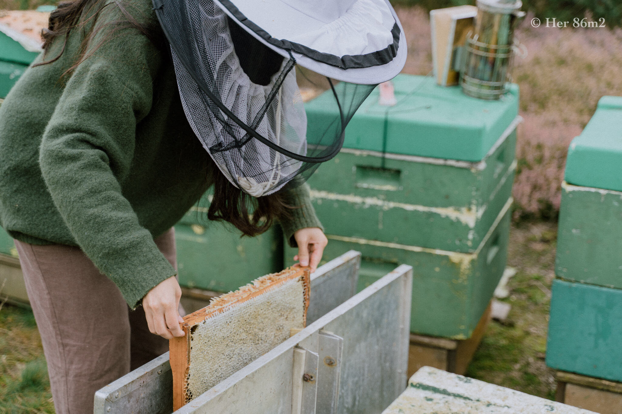 One Day Learning the Art of Beekeeping and Making Honey - Her86m2 100.jpg