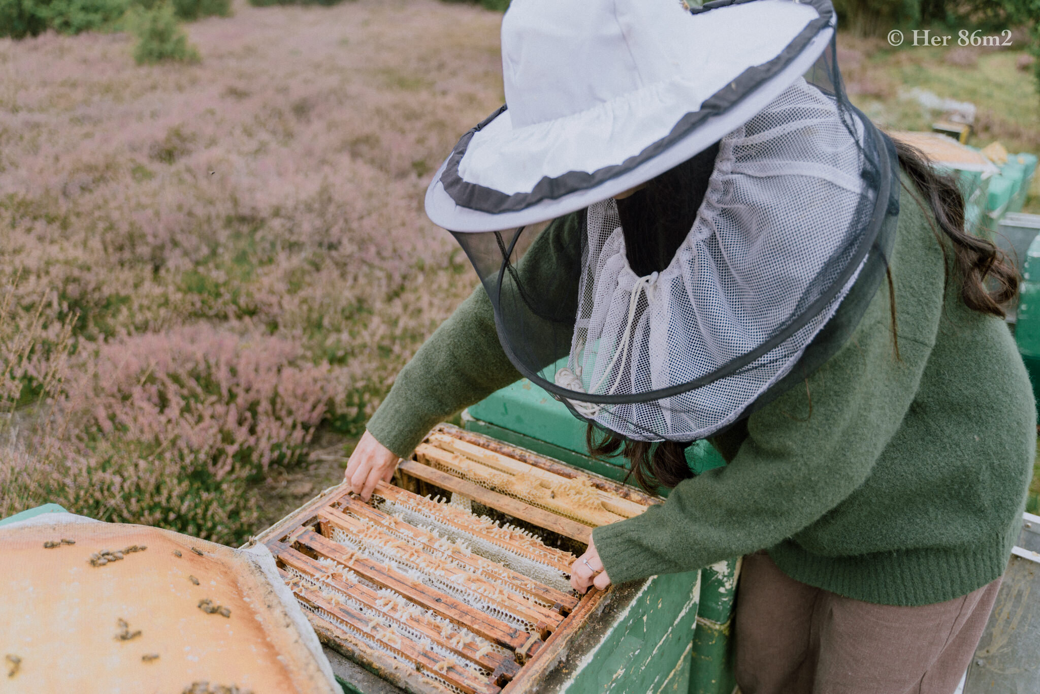 One Day Learning the Art of Beekeeping and Making Honey - Her86m2 98.jpg