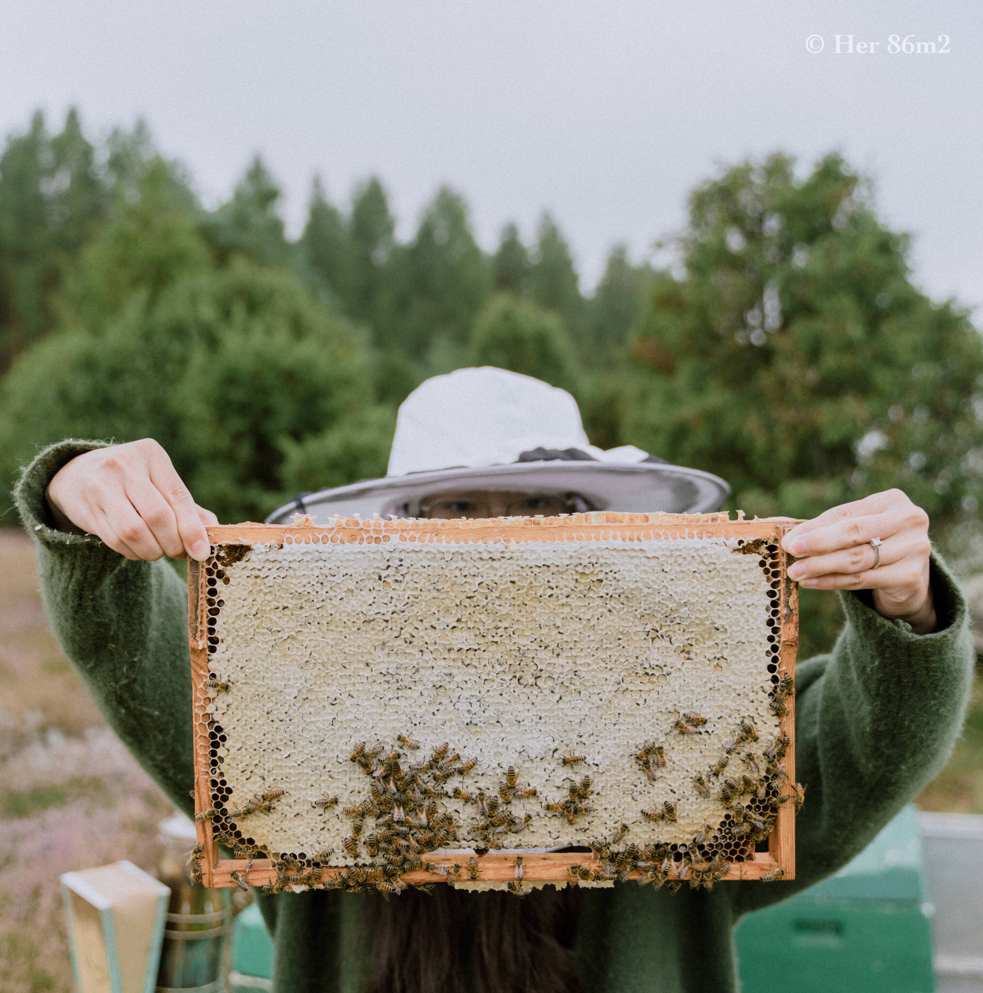 One Day Learning the Art of Beekeeping and Making Honey - Her86m2 99.jpg