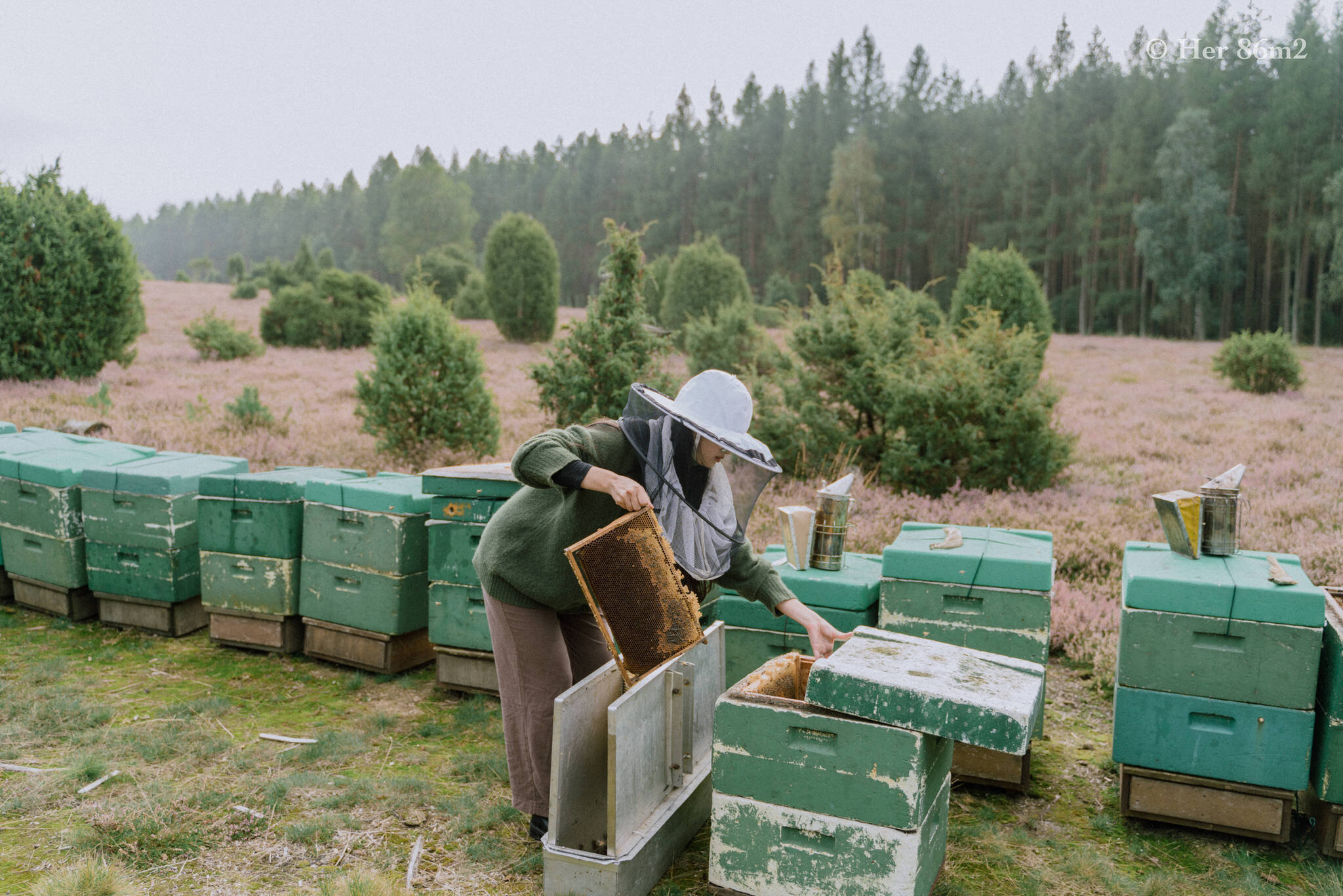 One Day Learning the Art of Beekeeping and Making Honey - Her86m2 117.jpg