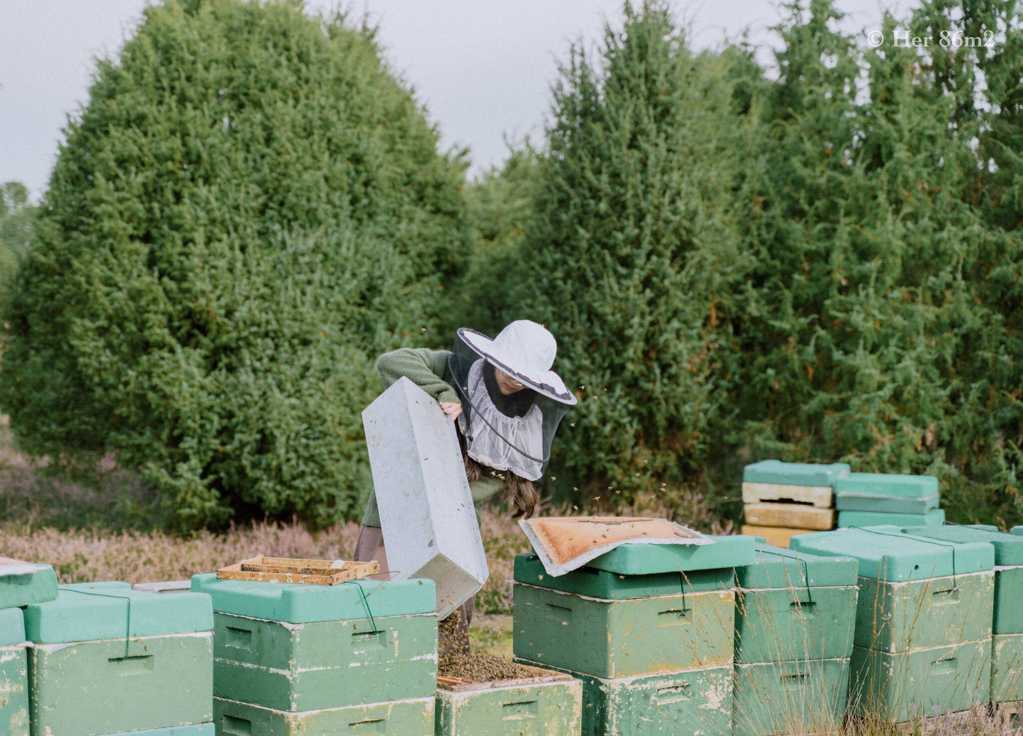 One Day Learning the Art of Beekeeping and Making Honey - Her86m2 115.jpg