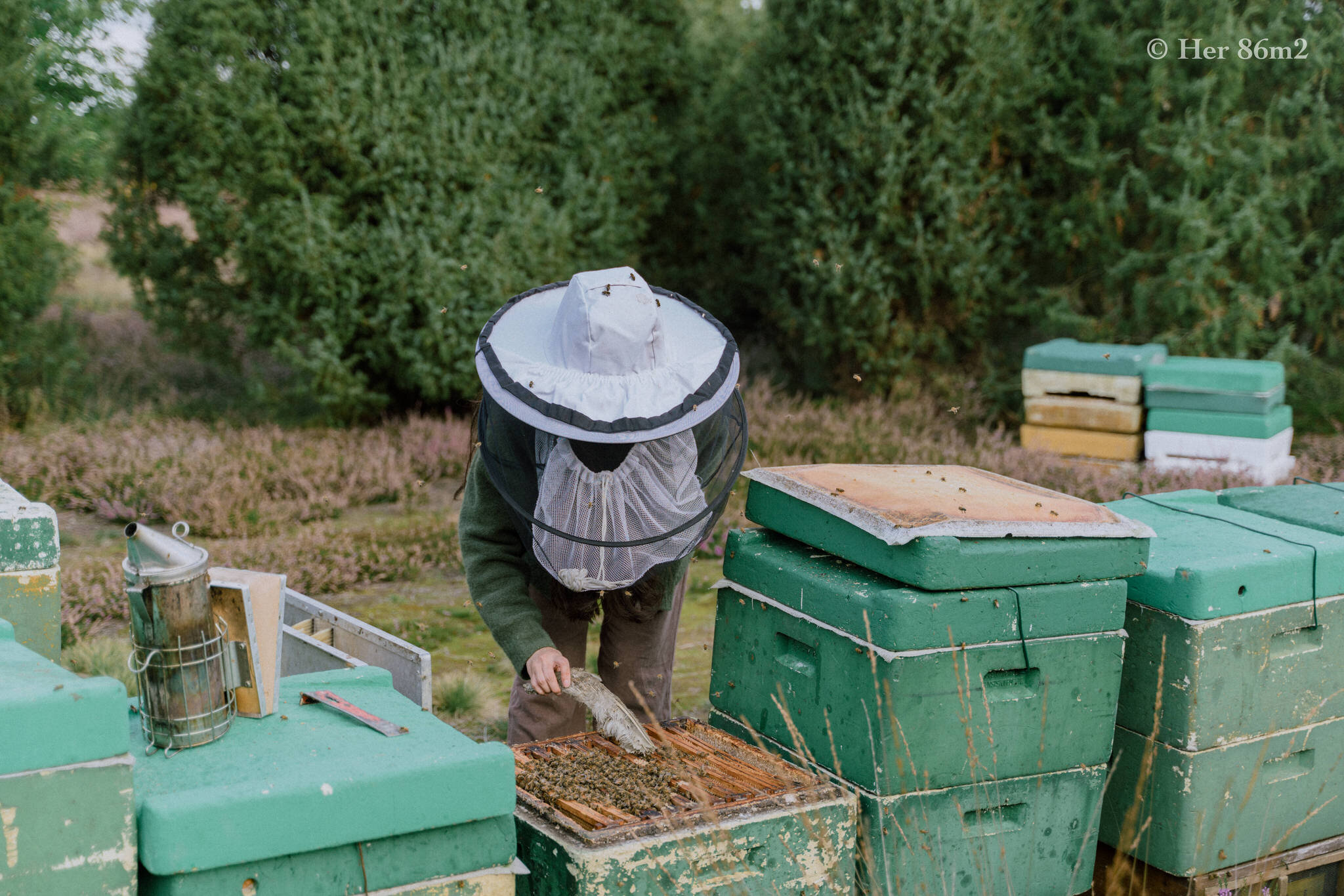 One Day Learning the Art of Beekeeping and Making Honey - Her86m2 140.jpg