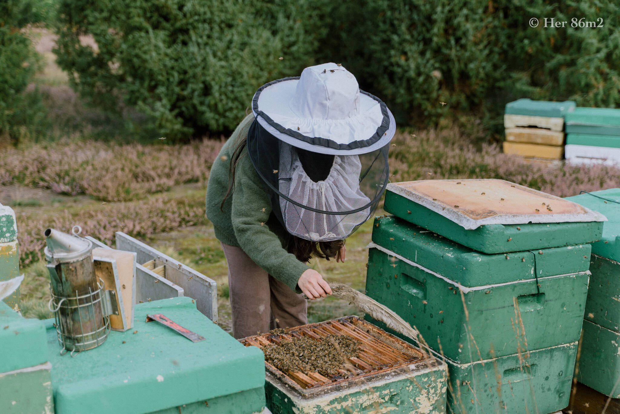 One Day Learning the Art of Beekeeping and Making Honey - Her86m2 138.jpg