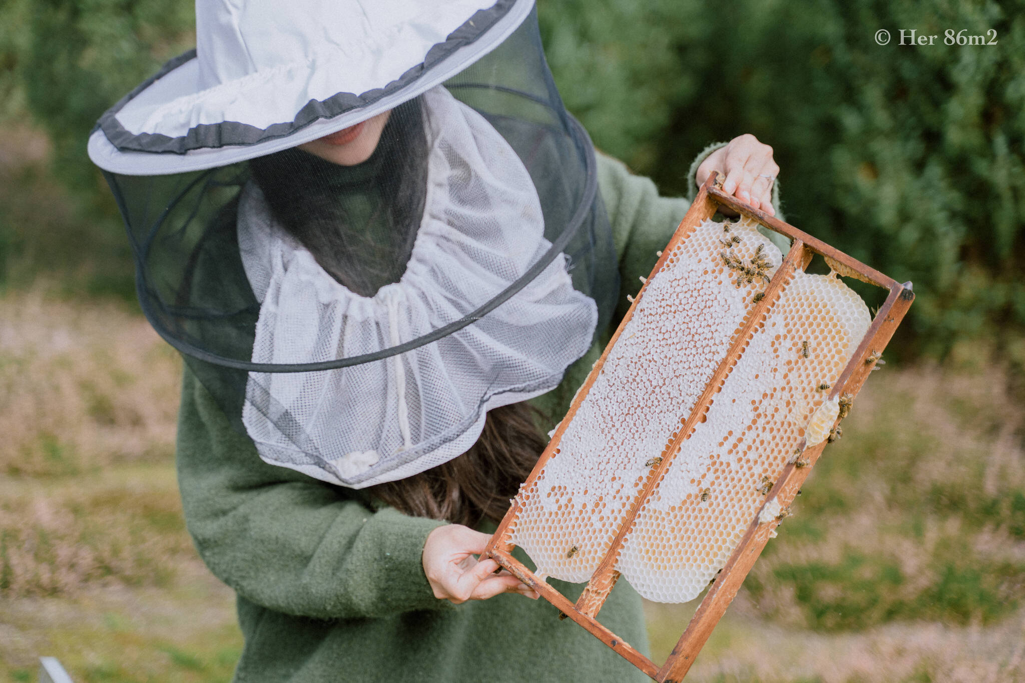 One Day Learning the Art of Beekeeping and Making Honey - Her86m2 141.jpg