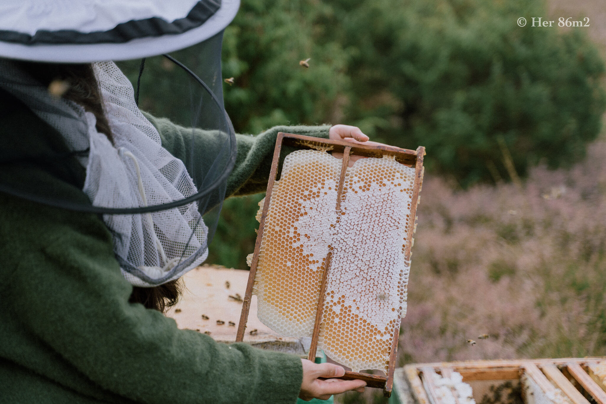 One Day Learning the Art of Beekeeping and Making Honey - Her86m2 145.jpg