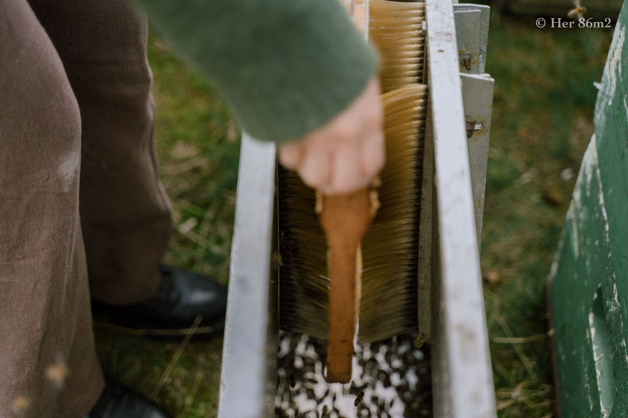 One Day Learning the Art of Beekeeping and Making Honey - Her86m2 146.jpg