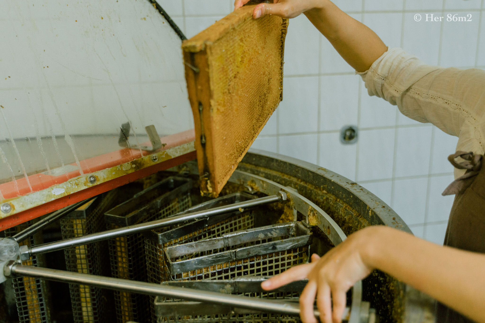 One Day Learning the Art of Beekeeping and Making Honey - Her86m2 176.jpg