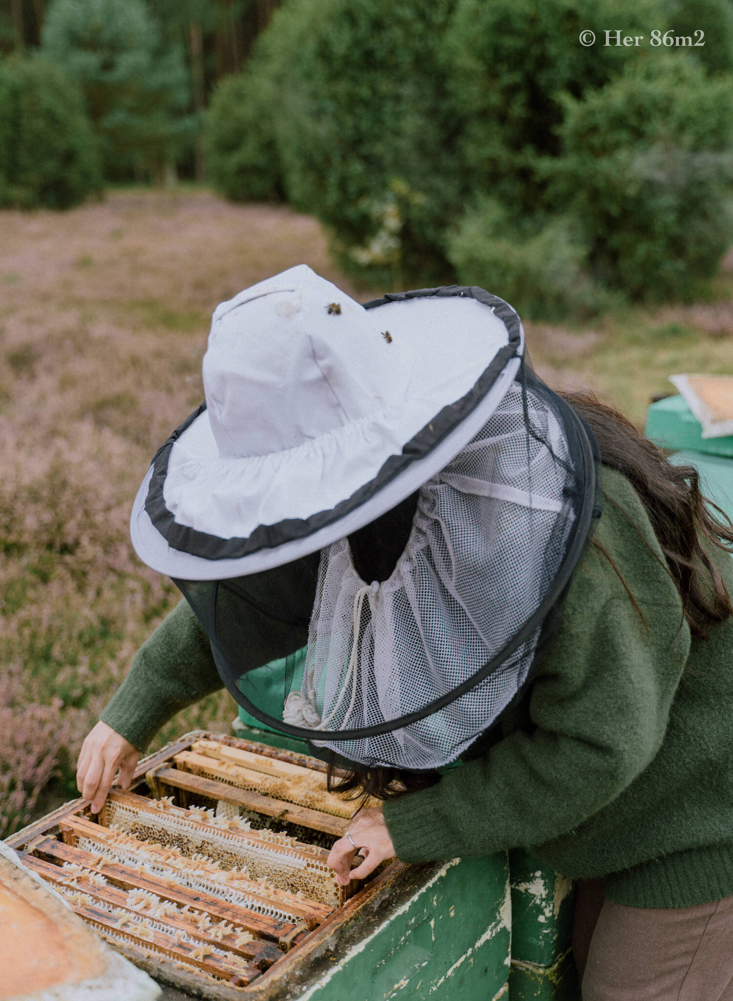 One Day Learning the Art of Beekeeping and Making Honey - Her86m2 109.jpg