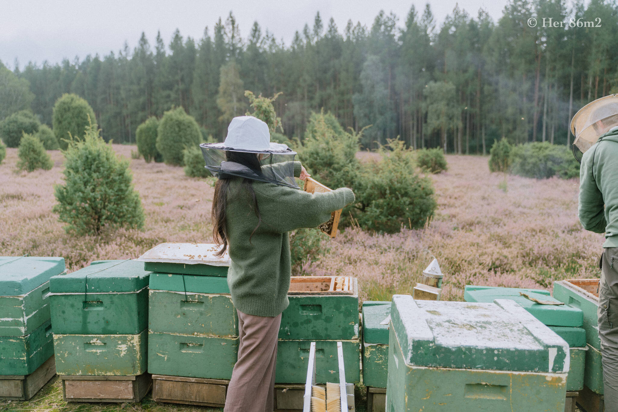 One Day Learning the Art of Beekeeping and Making Honey - Her86m2 148.jpg