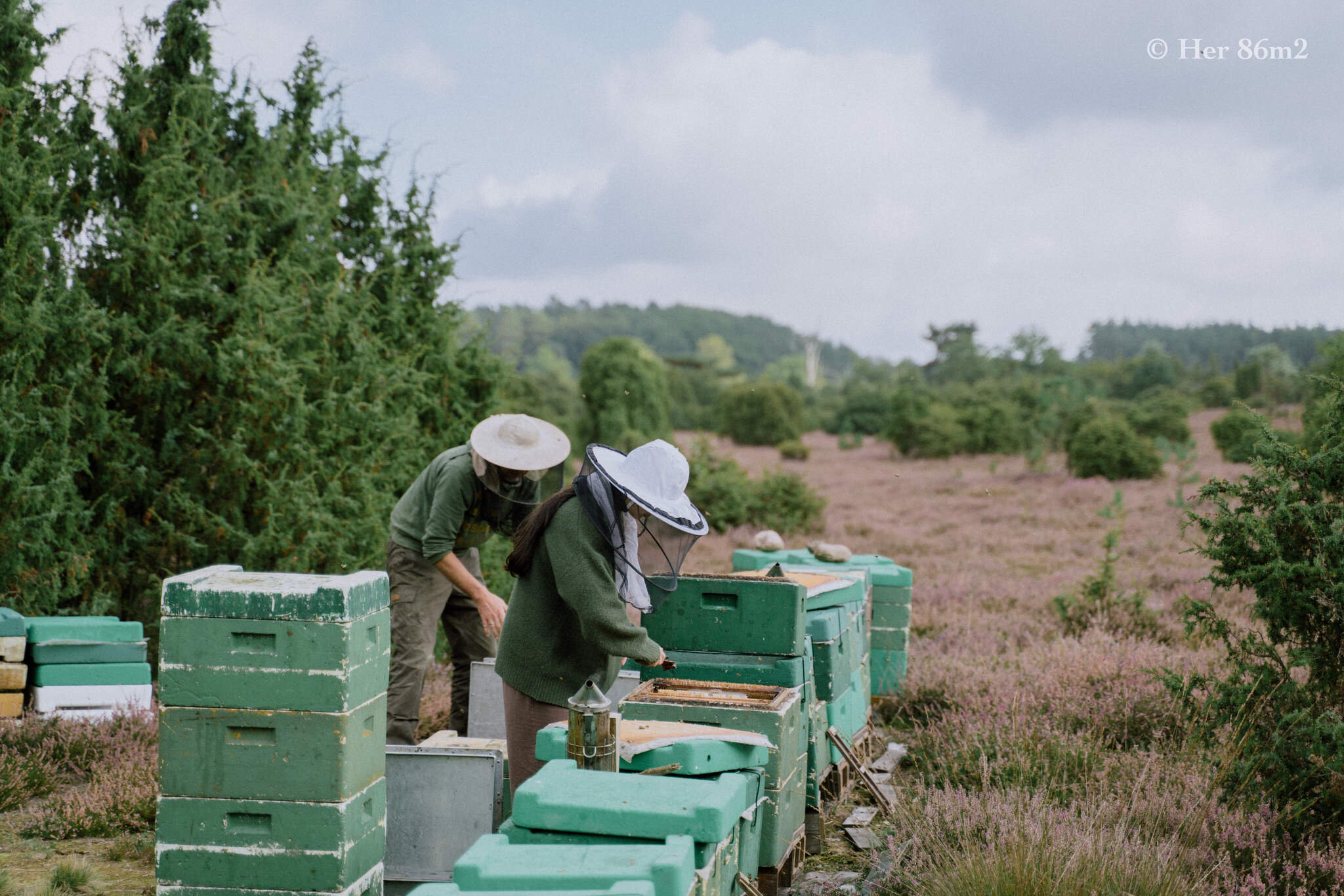 One Day Learning the Art of Beekeeping and Making Honey - Her86m2 158.jpg