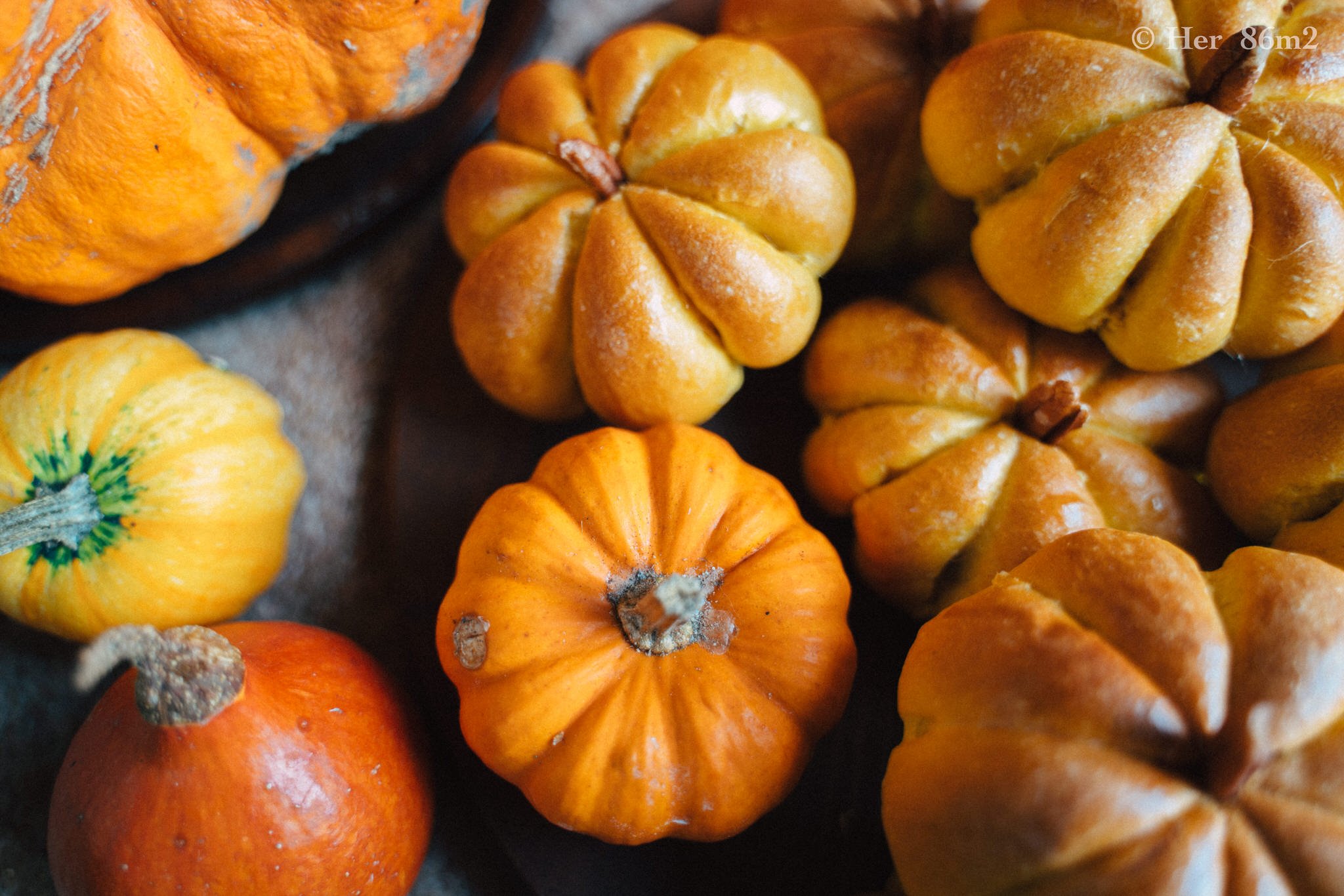 Pumpkin Bread Her 86m2 by Thuy Dao 13.JPG
